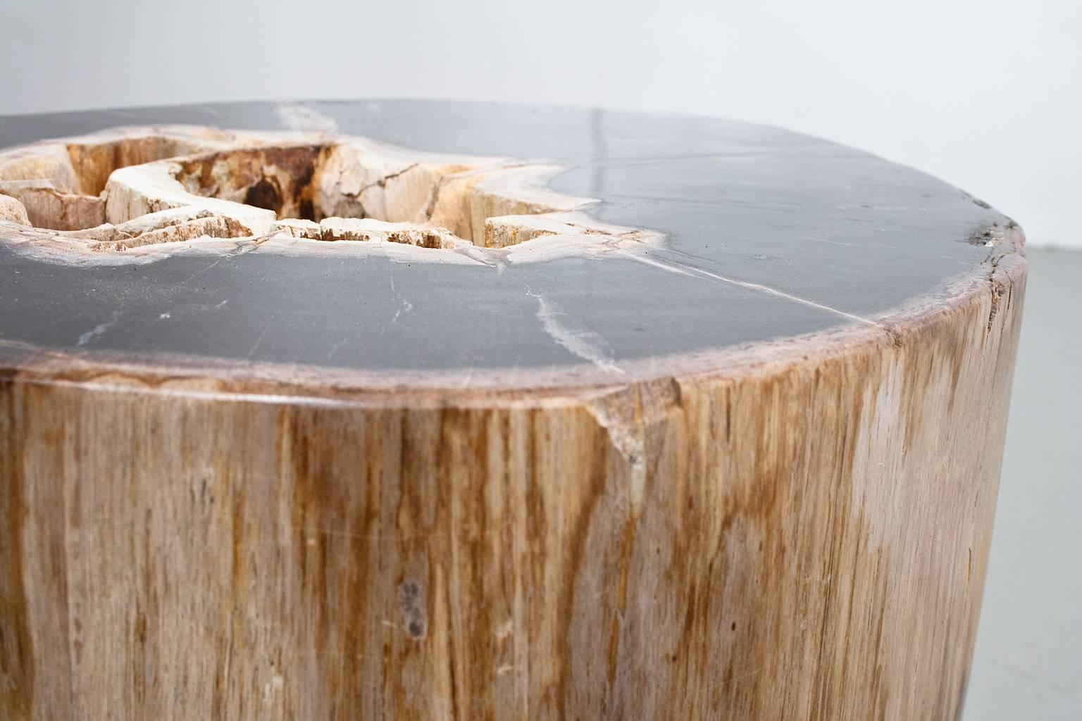 Organic Material Large Petrified Wood Polished Side Table, Stool or Pedestal, Organic Modern
