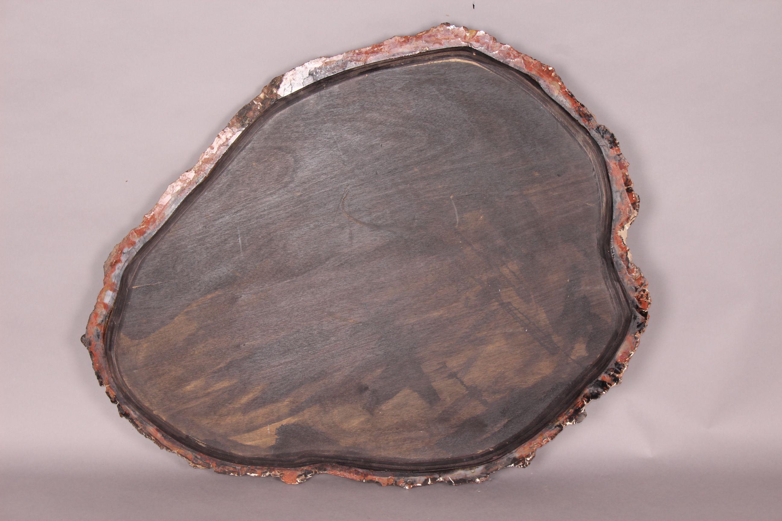 Large Petrified Wood Slab 3