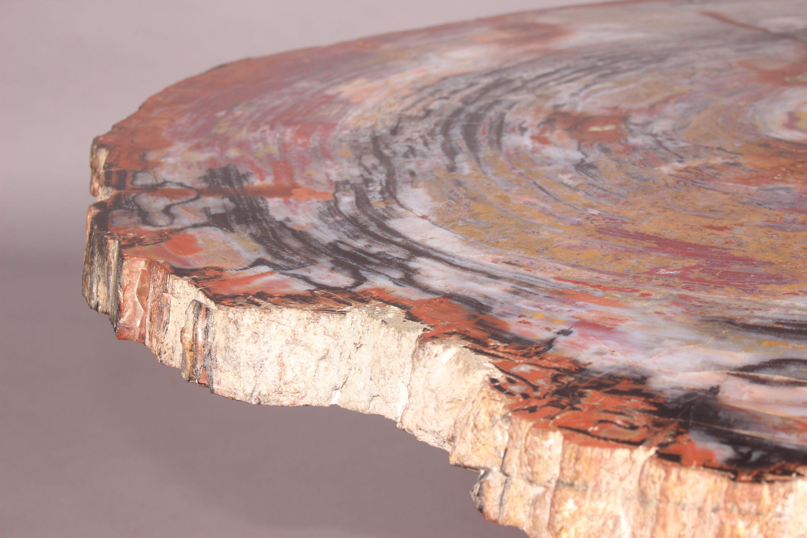 petrified wood slab for sale