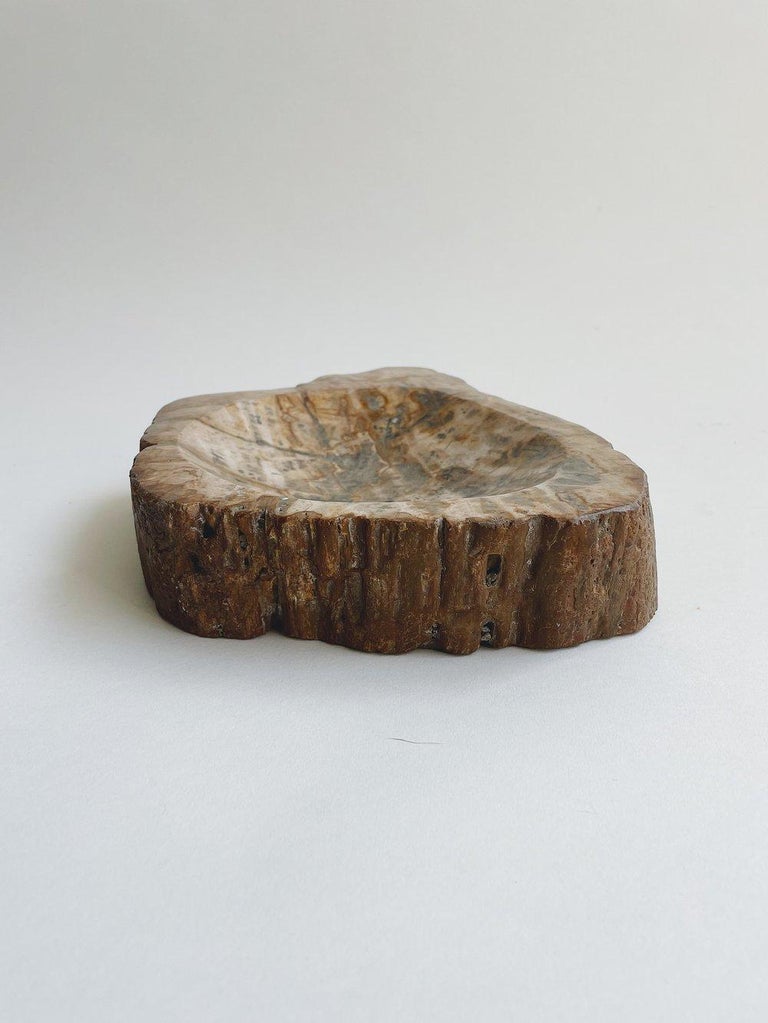 Large Petrified Wooden Bowl For Sale at 1stDibs