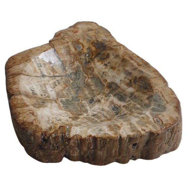 Large Petrified Wooden Bowl For Sale at 1stDibs