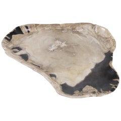 Large Petrified Wooden Organic Plate in Beige and Charcoal Tones, Triangle Shape