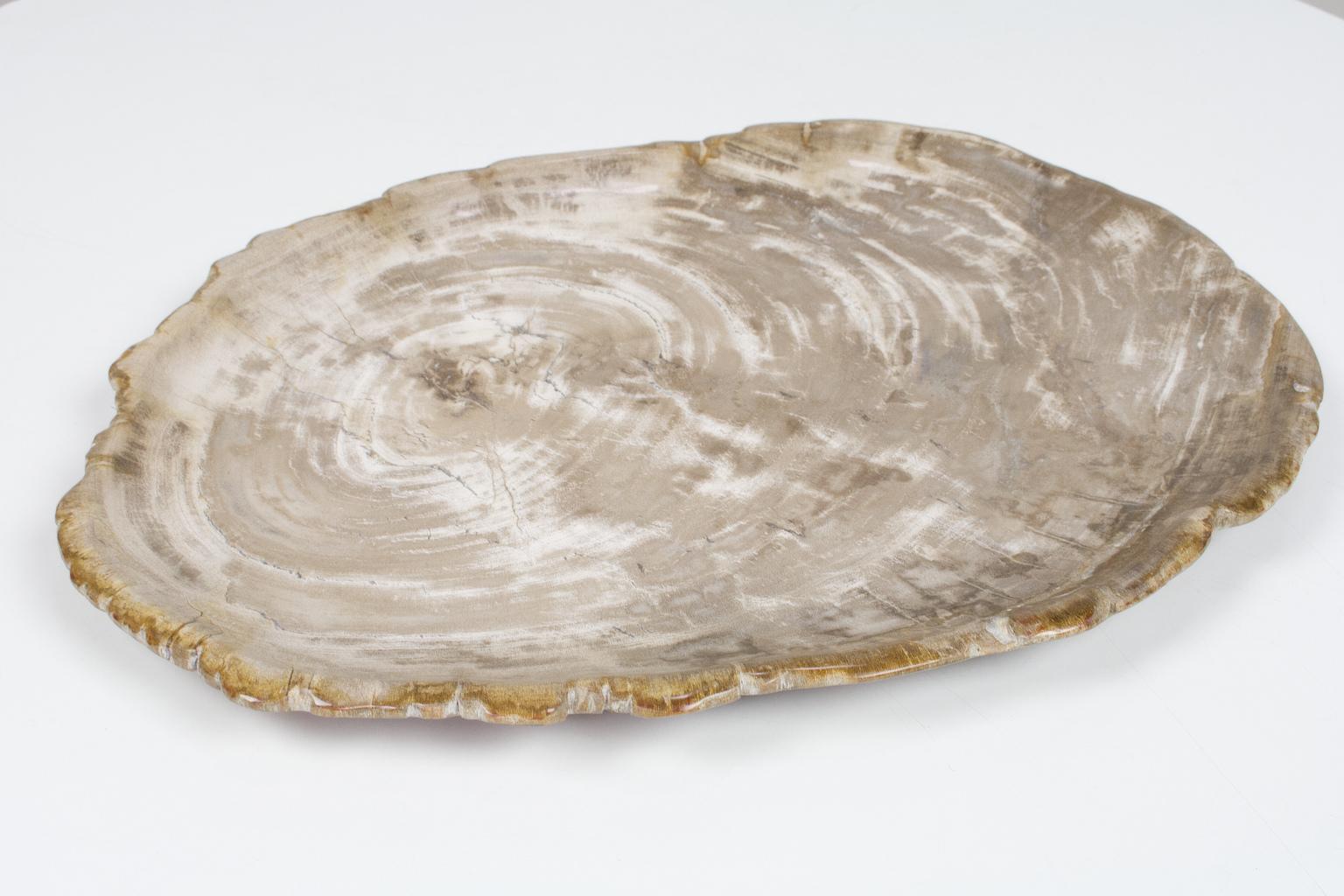 Large petrified wooden plate (or platter) in light colors, smooth sanded and polished on both sides. This organically shaped and ancient object is an unique piece in any home. The beige and off white tones of this plate make this an elegant