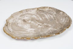 Large Petrified Wooden Plate in Beige Tones, Home Accessory of Organic Origin