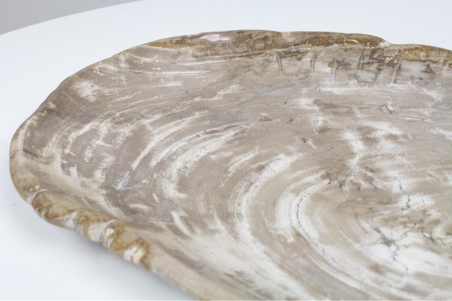 Indonesian Large Petrified Wooden Plate in Beige Tones, Home Accessory of Organic Origin For Sale