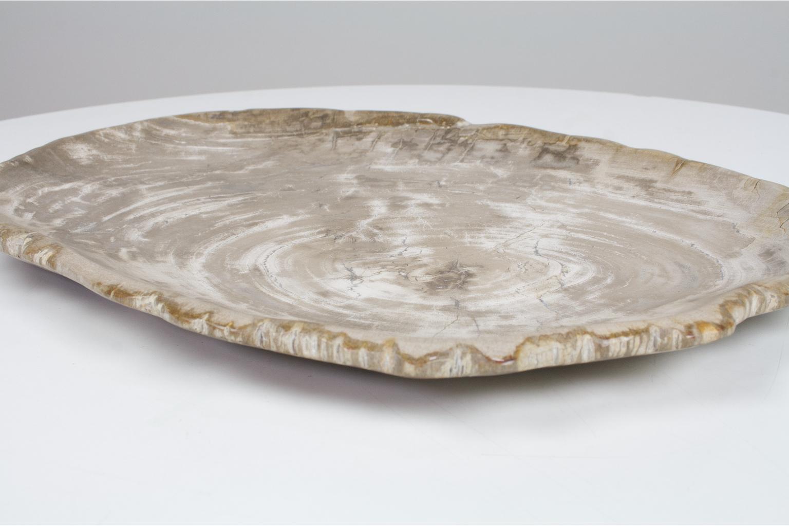 Stone Large Petrified Wooden Plate in Beige Tones, Home Accessory of Organic Origin For Sale