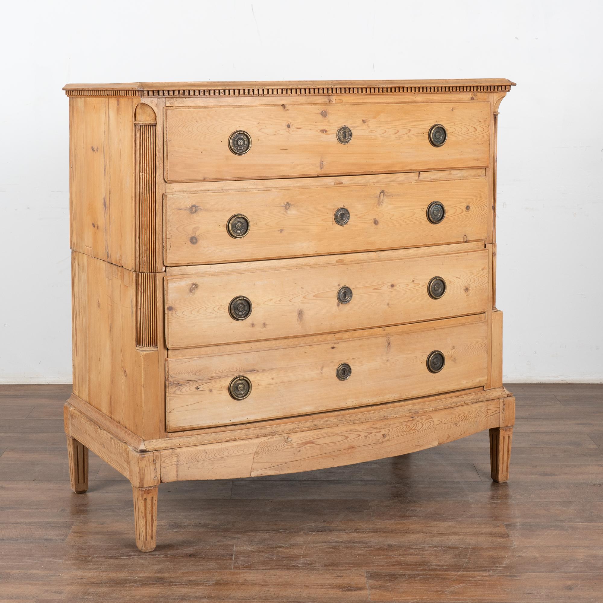 Grande commode en pin à quatre tiroirs avec une moulure en denticule le long du dessus et de jolis détails cannelés sculptés le long des angles latéraux.
Restauré, solide, stable et prêt à être utilisé. Construit en deux parties pour faciliter le
