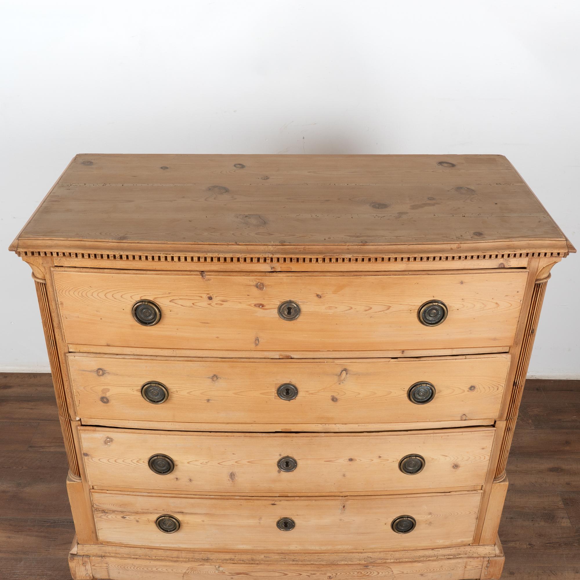 Grande commode en pin à quatre tiroirs, Danemark vers 1800-20 Bon état - En vente à Round Top, TX