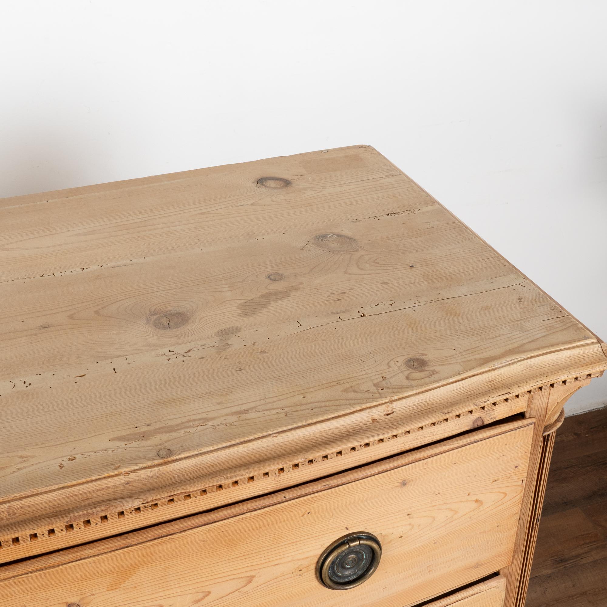 Laiton Grande commode en pin à quatre tiroirs, Danemark vers 1800-20 en vente