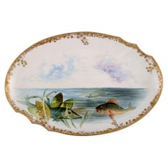 Large Pirkenhammer Serving Dish in Porcelain with Hand-Painted Fish