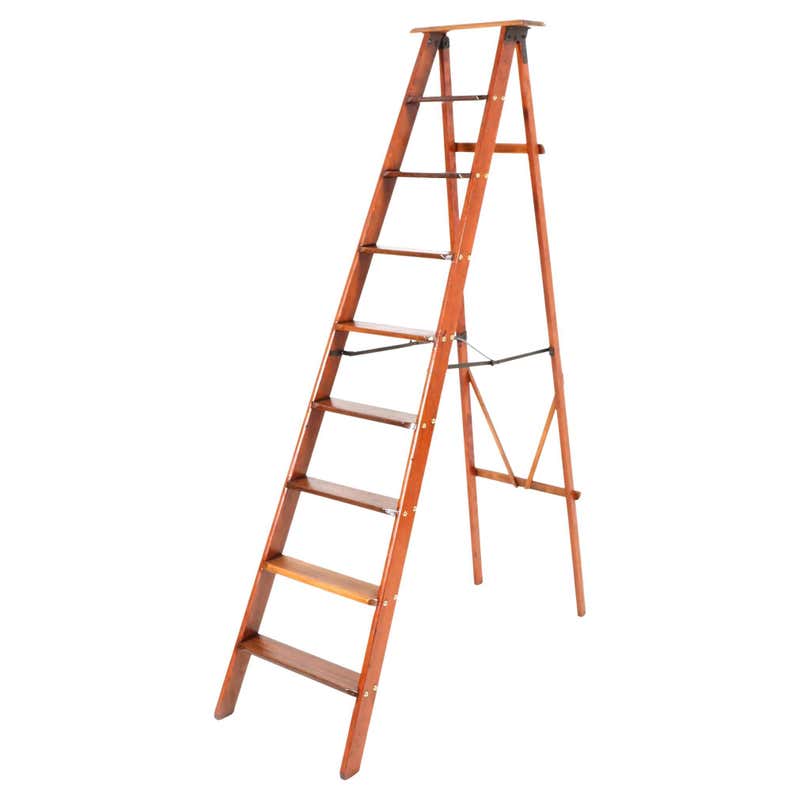 F.E. Myers Bros. Country Store or Library Rustic Ladders with Hardware ...
