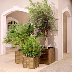 Large Planter in Antique Brass Patinated Metal, Timeless Elegance.