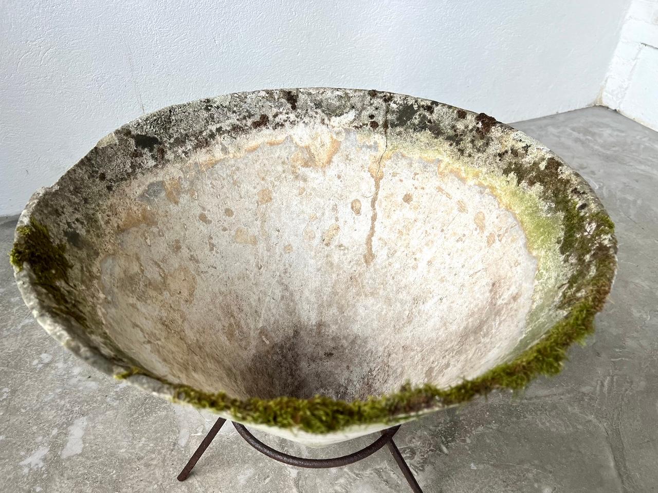 Grande jardinière Willy Guhl de France, années 1950 8