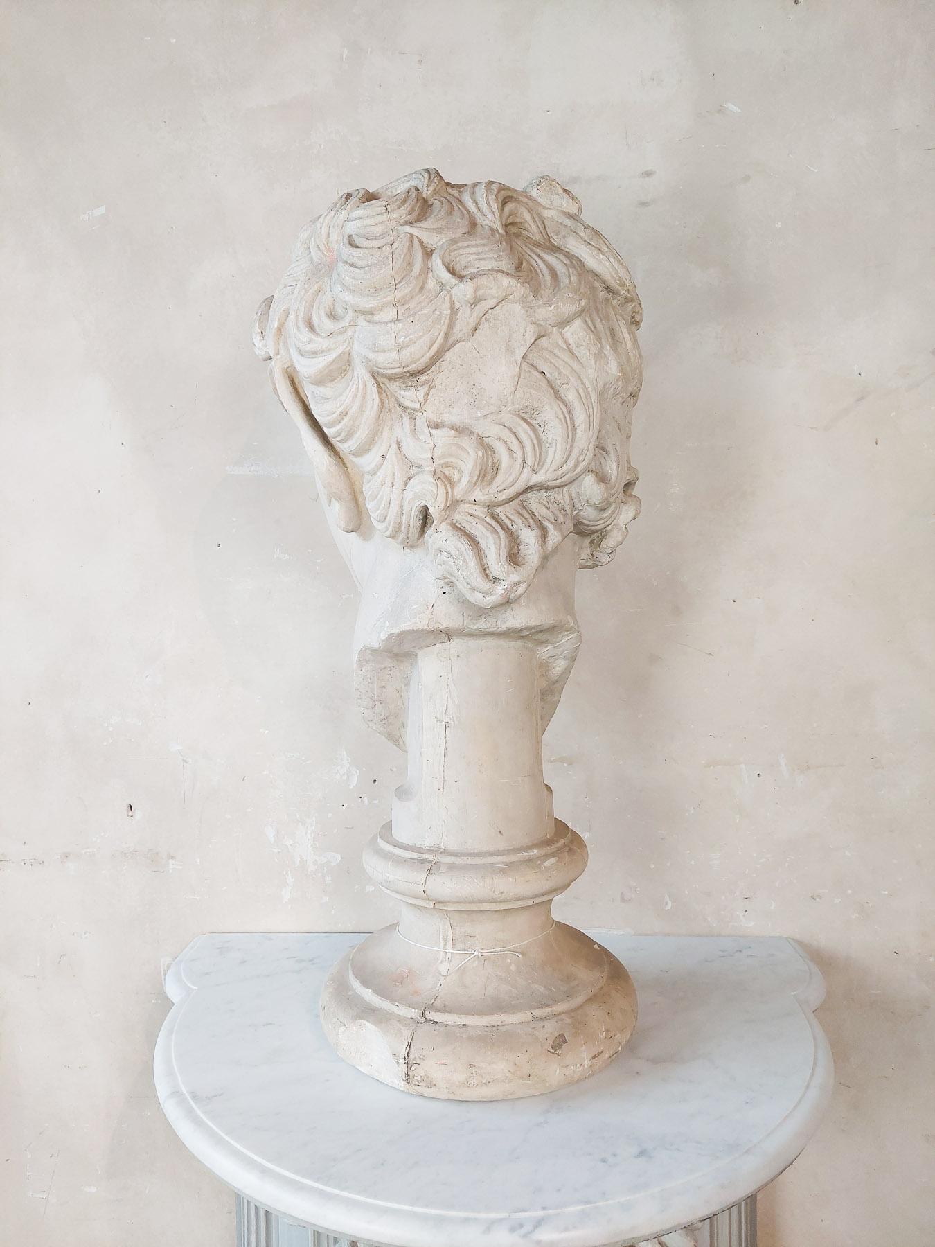 Large Plaster Bust of a Faun  For Sale 6
