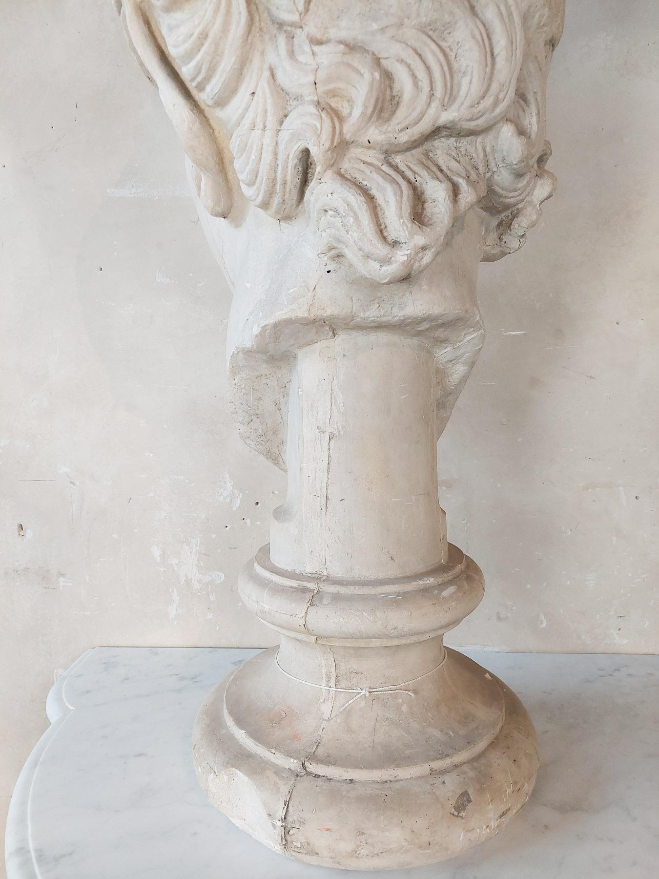 Large Plaster Bust of a Faun  For Sale 7