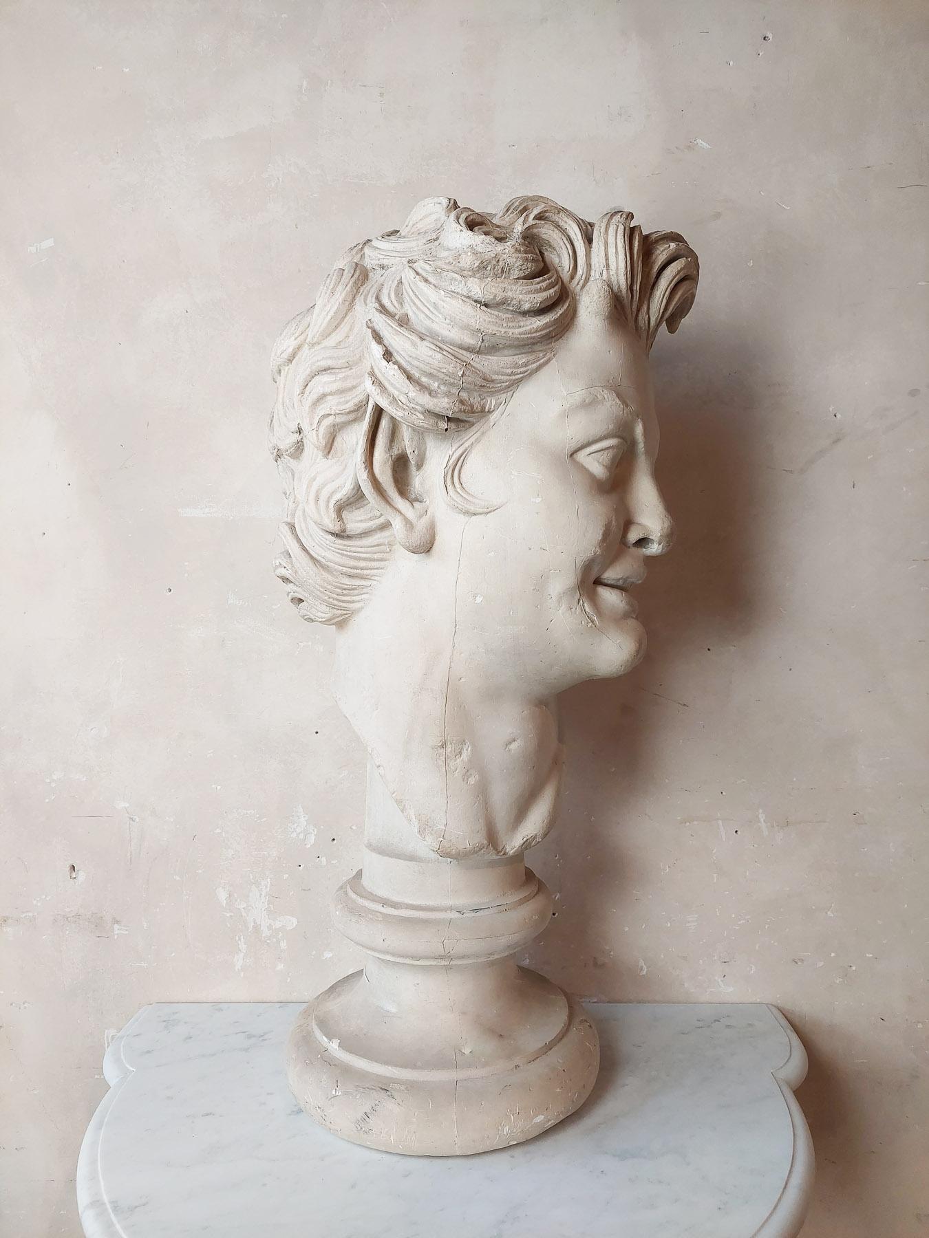 Large Plaster Bust of a Faun  For Sale 8