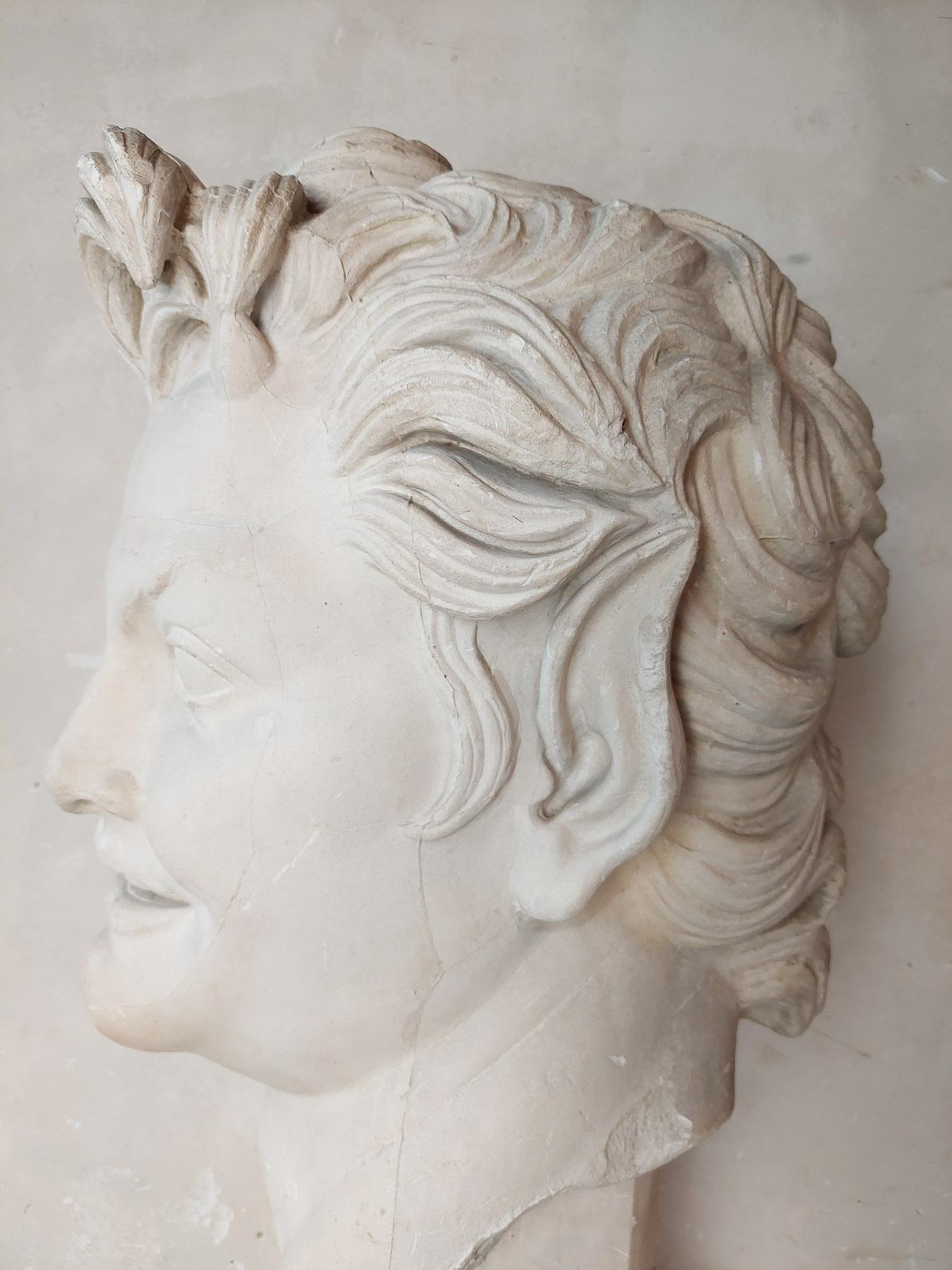 Large Plaster Bust of a Faun  10