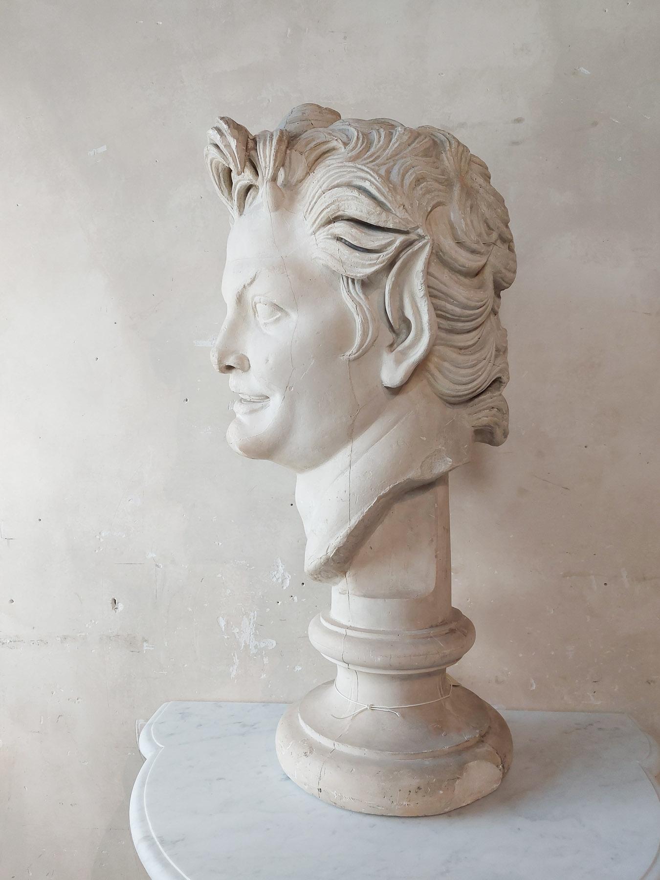 Large Plaster Bust of a Faun  3