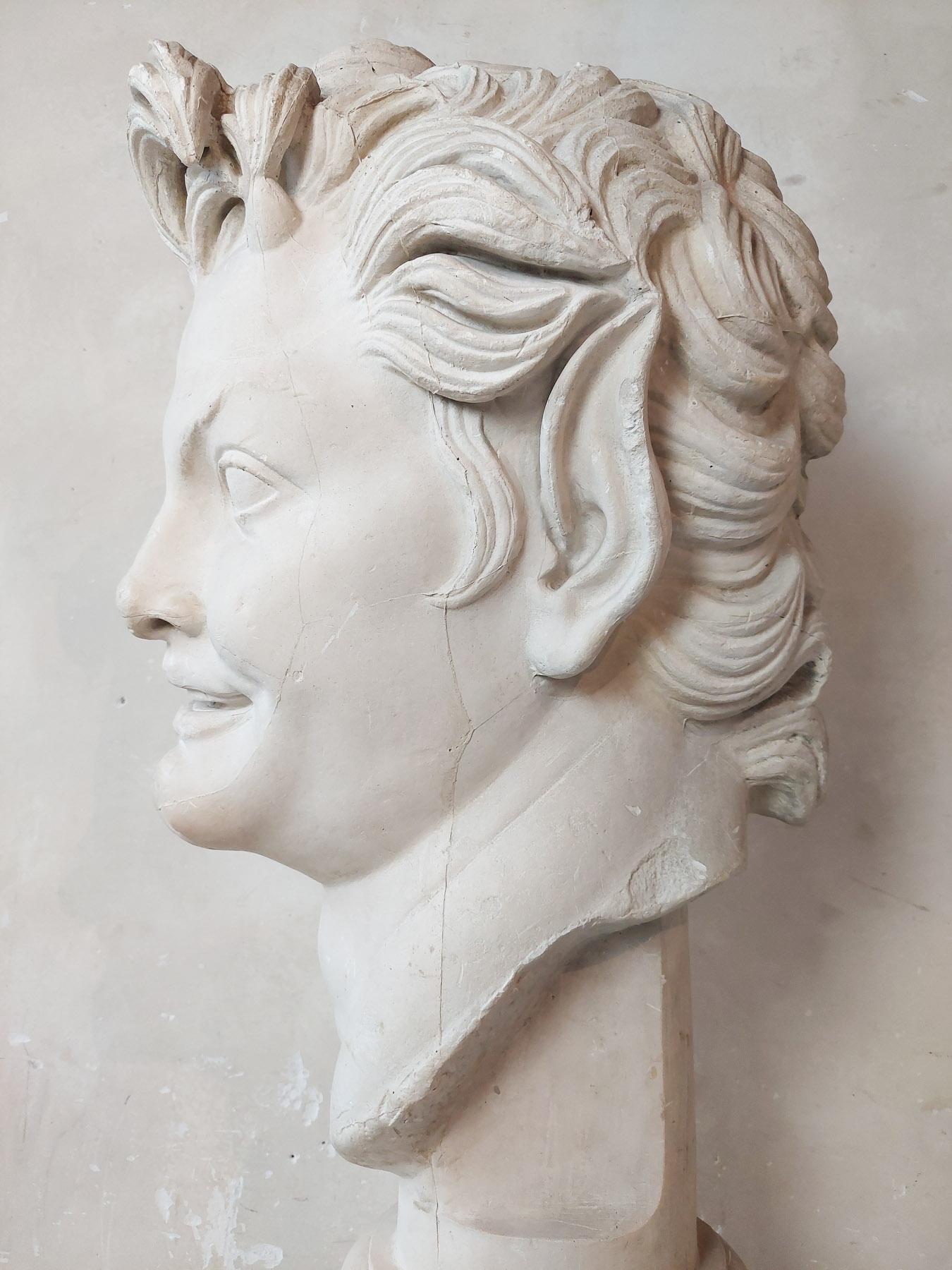 Large Plaster Bust of a Faun  4