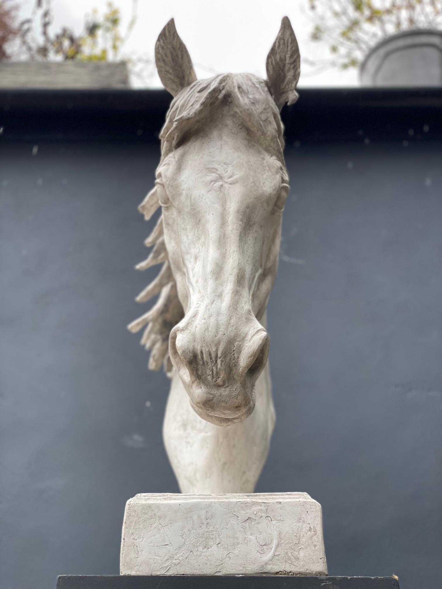 Autre Grand buste en plâtre représentant une tête de cheval en vente