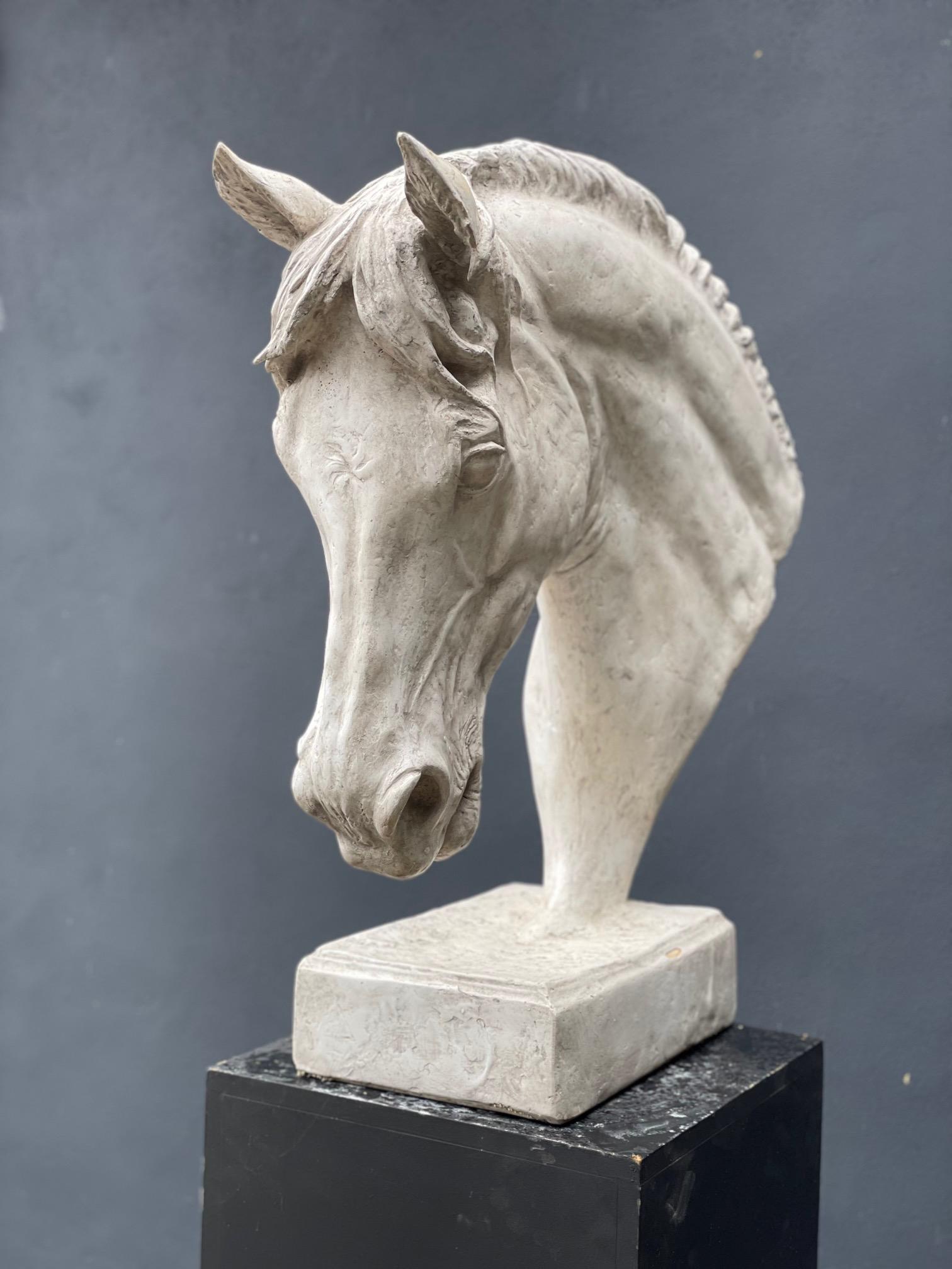 Britannique Grand buste en plâtre représentant une tête de cheval en vente