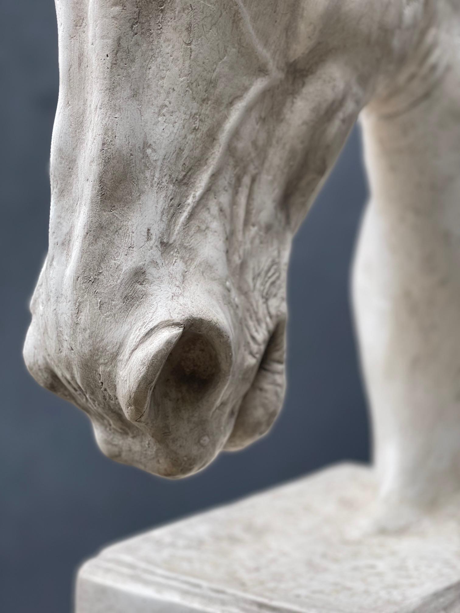 Plâtre Grand buste en plâtre représentant une tête de cheval en vente