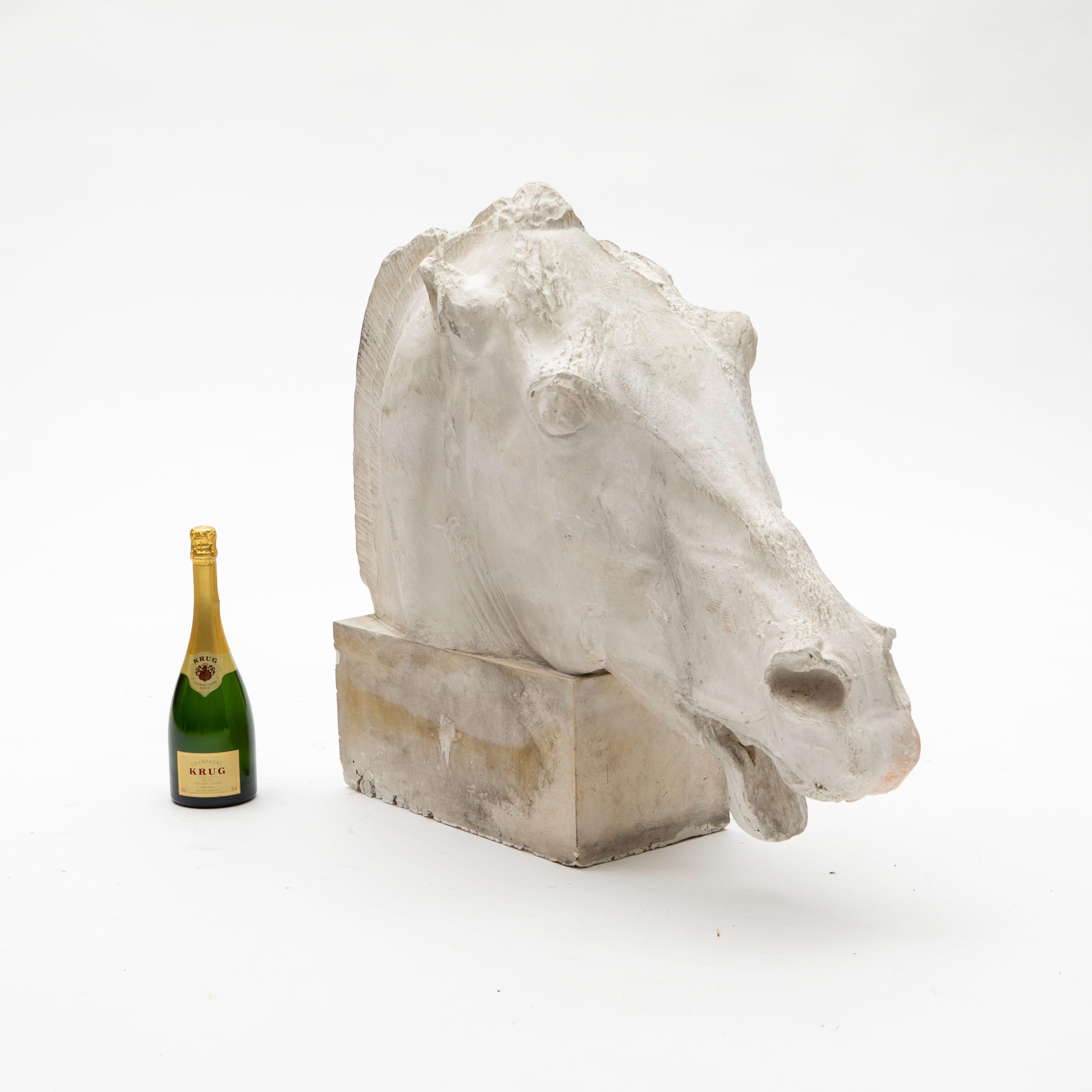 A finely detailed plaster cast reproduction of the original marble horse head from the East Pediment of the Parthenon.
The East Pediment depicts the miraculous birth of the goddess Athena, emerging from the head of Zeus.
This horse head is one of