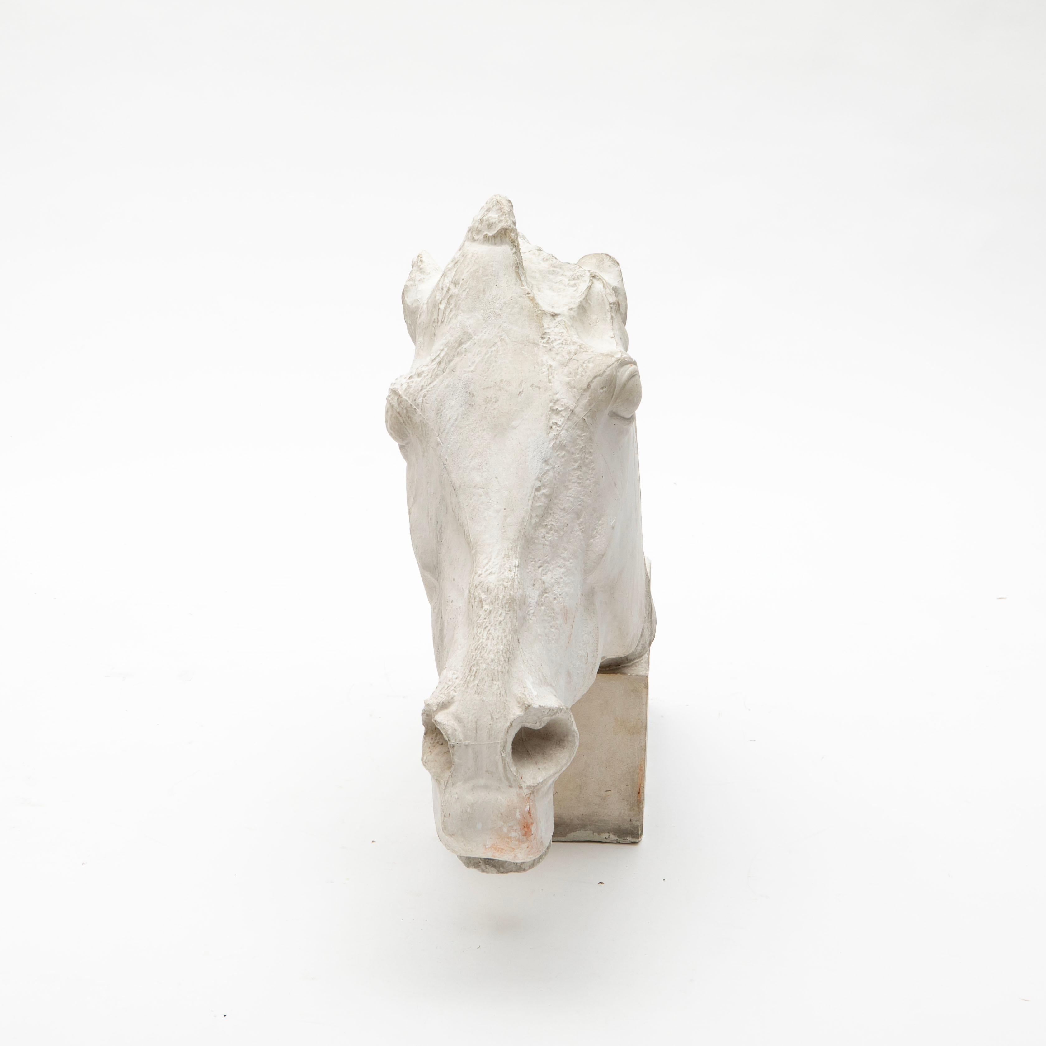 Classical Roman Large Plaster Cast Horse Head from the Parthenon Frieze, British Museum, 1930s