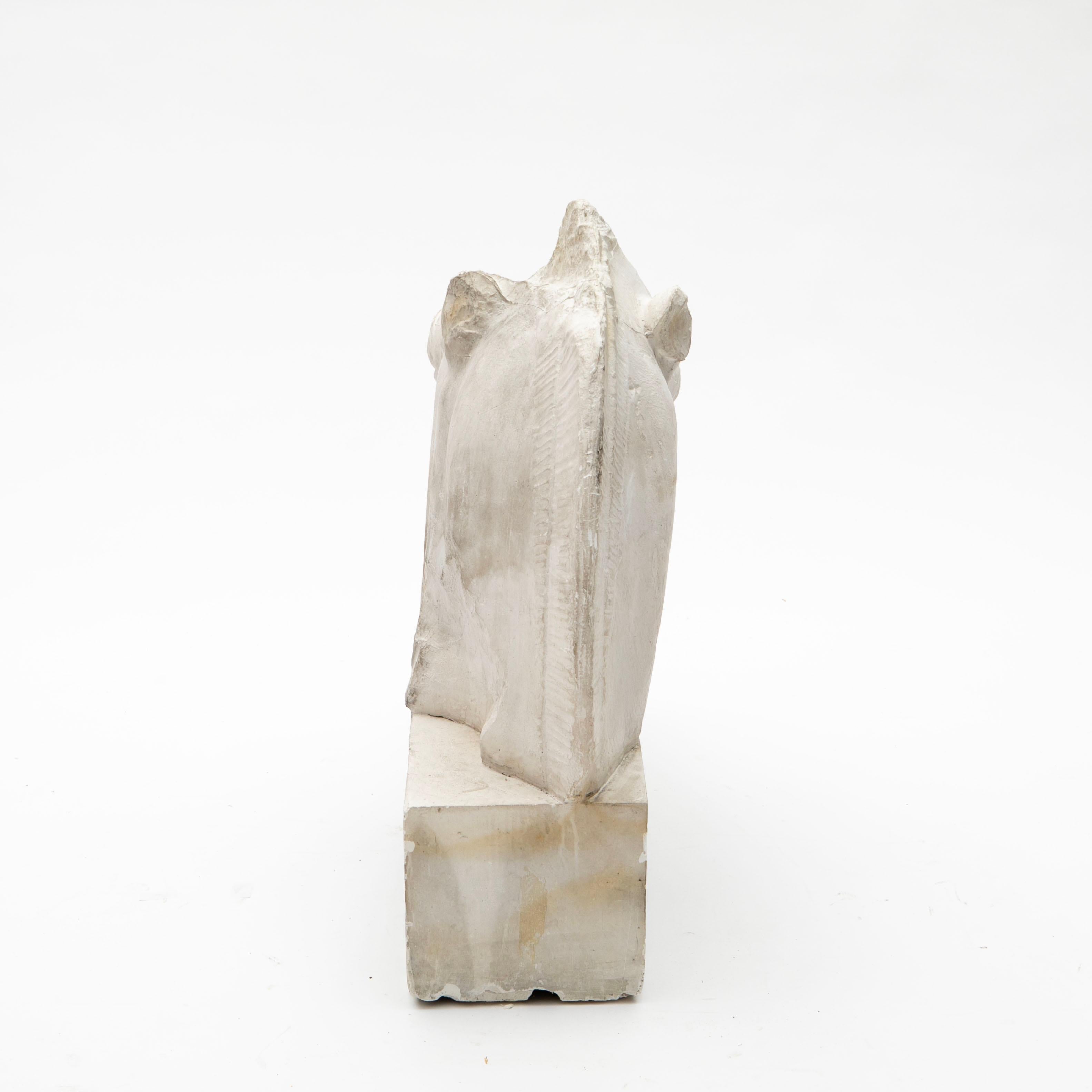 English Large Plaster Cast Horse Head from the Parthenon Frieze, British Museum, 1930s