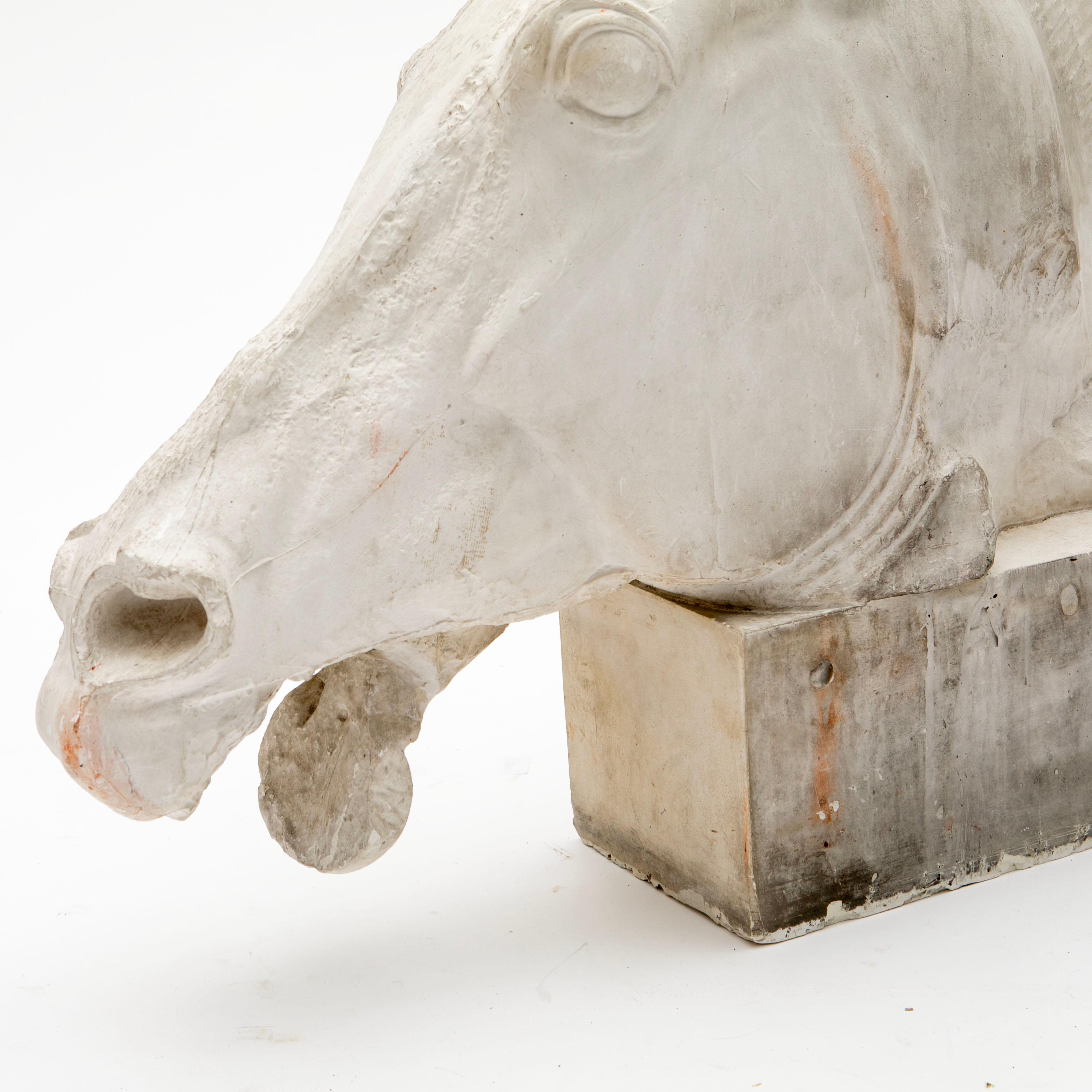 Large Plaster Cast Horse Head from the Parthenon Frieze, British Museum, 1930s In Good Condition In Kastrup, DK