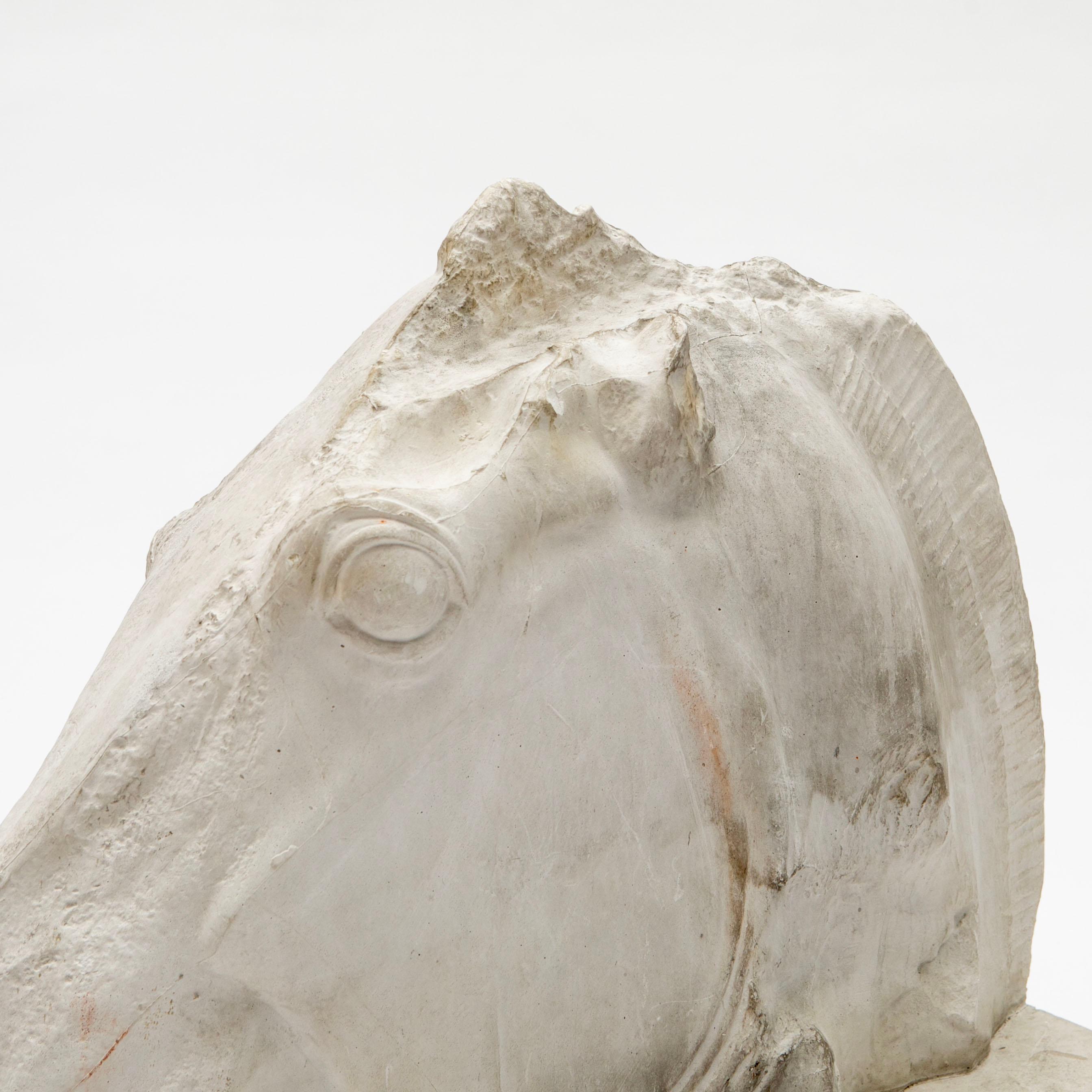 20th Century Large Plaster Cast Horse Head from the Parthenon Frieze, British Museum, 1930s