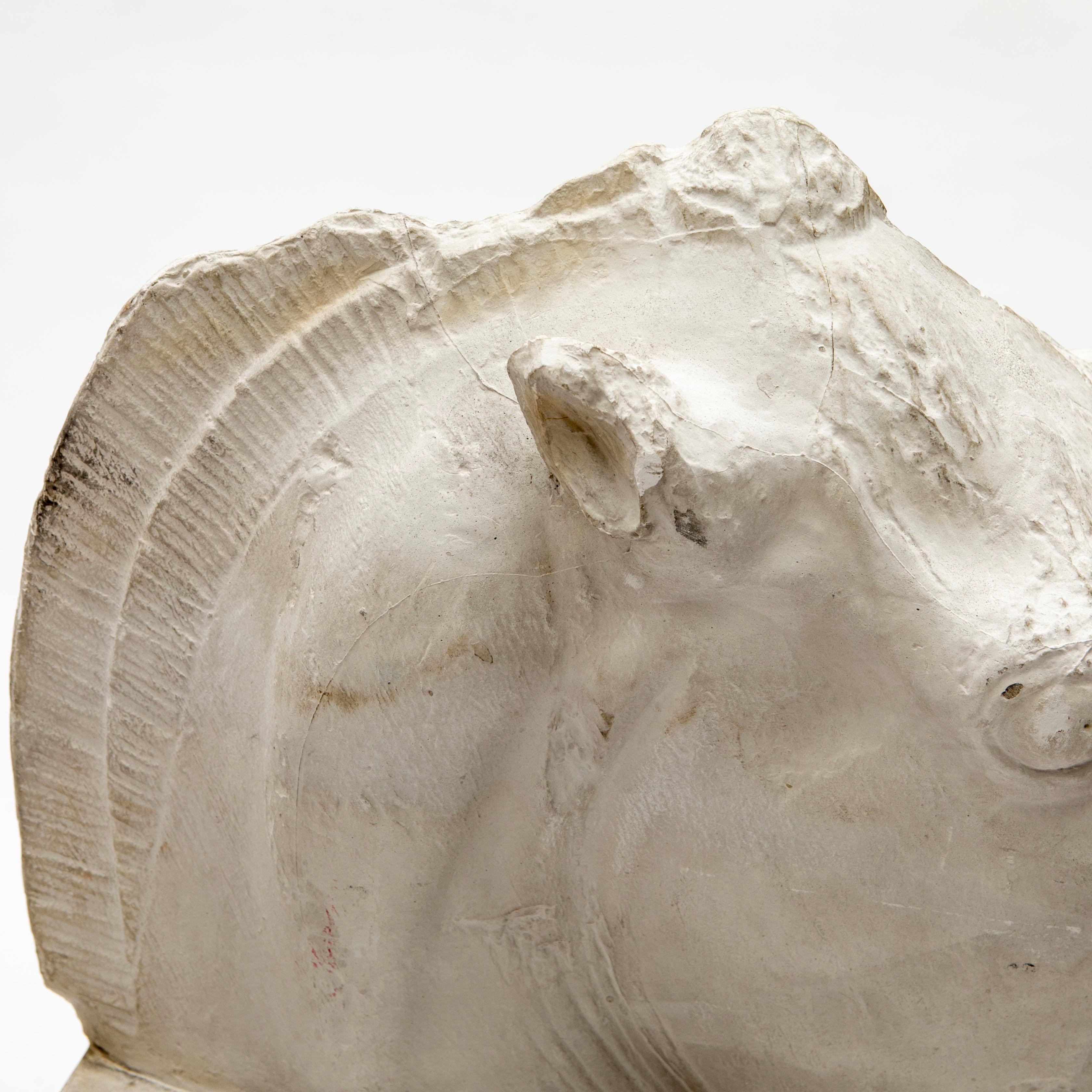 Plastic Large Plaster Cast Horse Head from the Parthenon Frieze, British Museum, 1930s