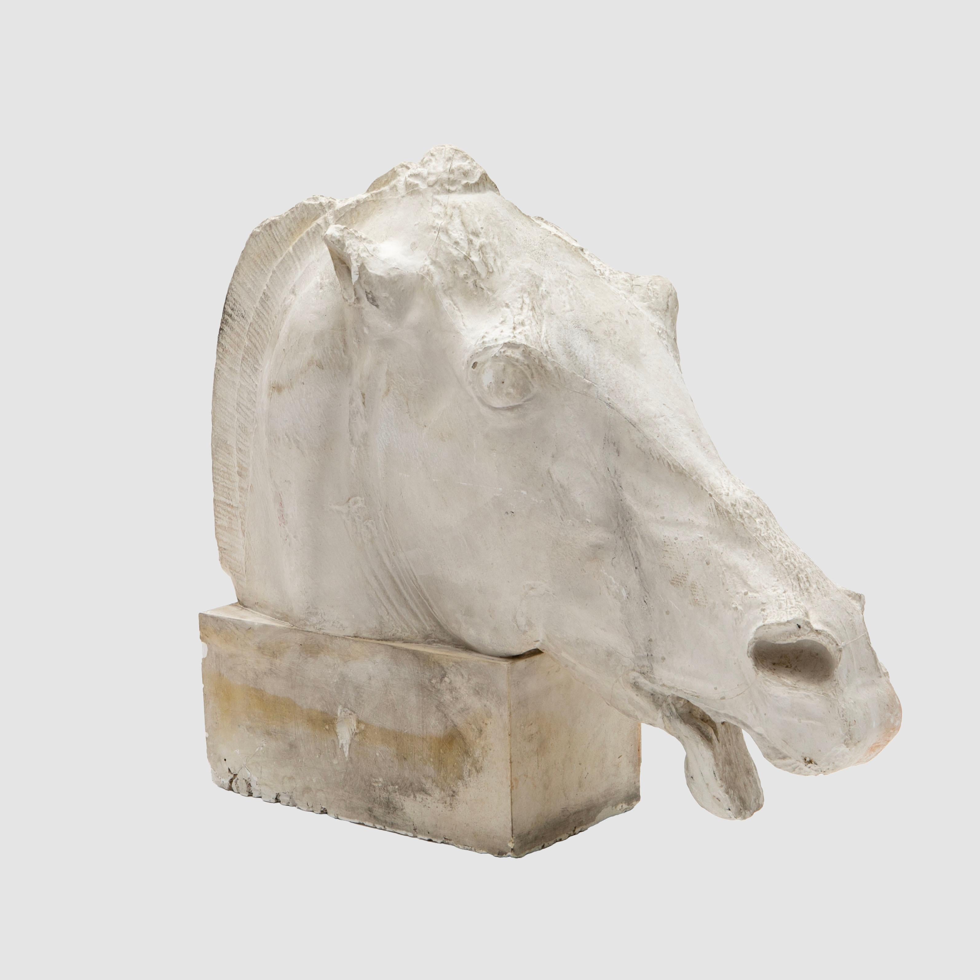 Large Plaster Cast Horse Head from the Parthenon Frieze, British Museum, 1930s 1