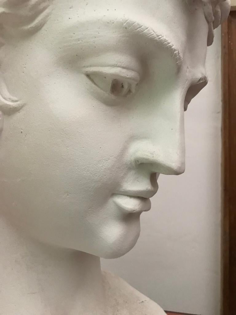 Large Plaster Head Sculpture. Italy, 1970s. For Sale 7
