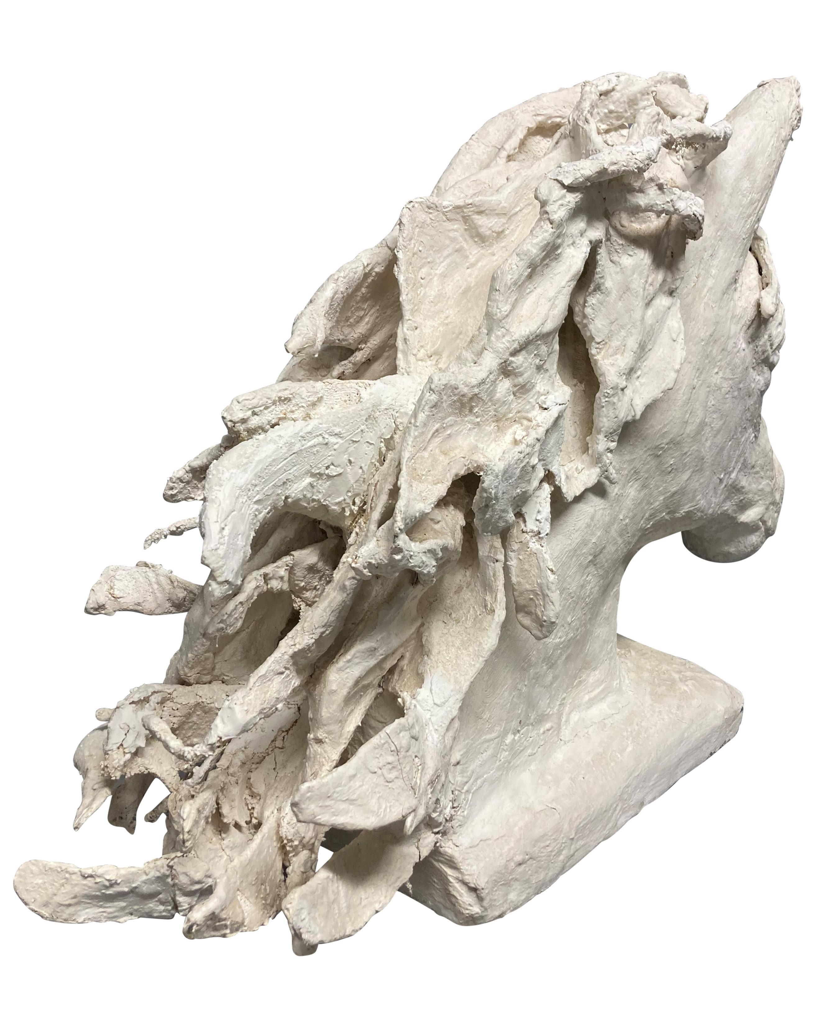 Una grande maquette in gesso inglese di una testa di cavallo, presumibilmente per un bronzo, con un buon movimento della criniera.