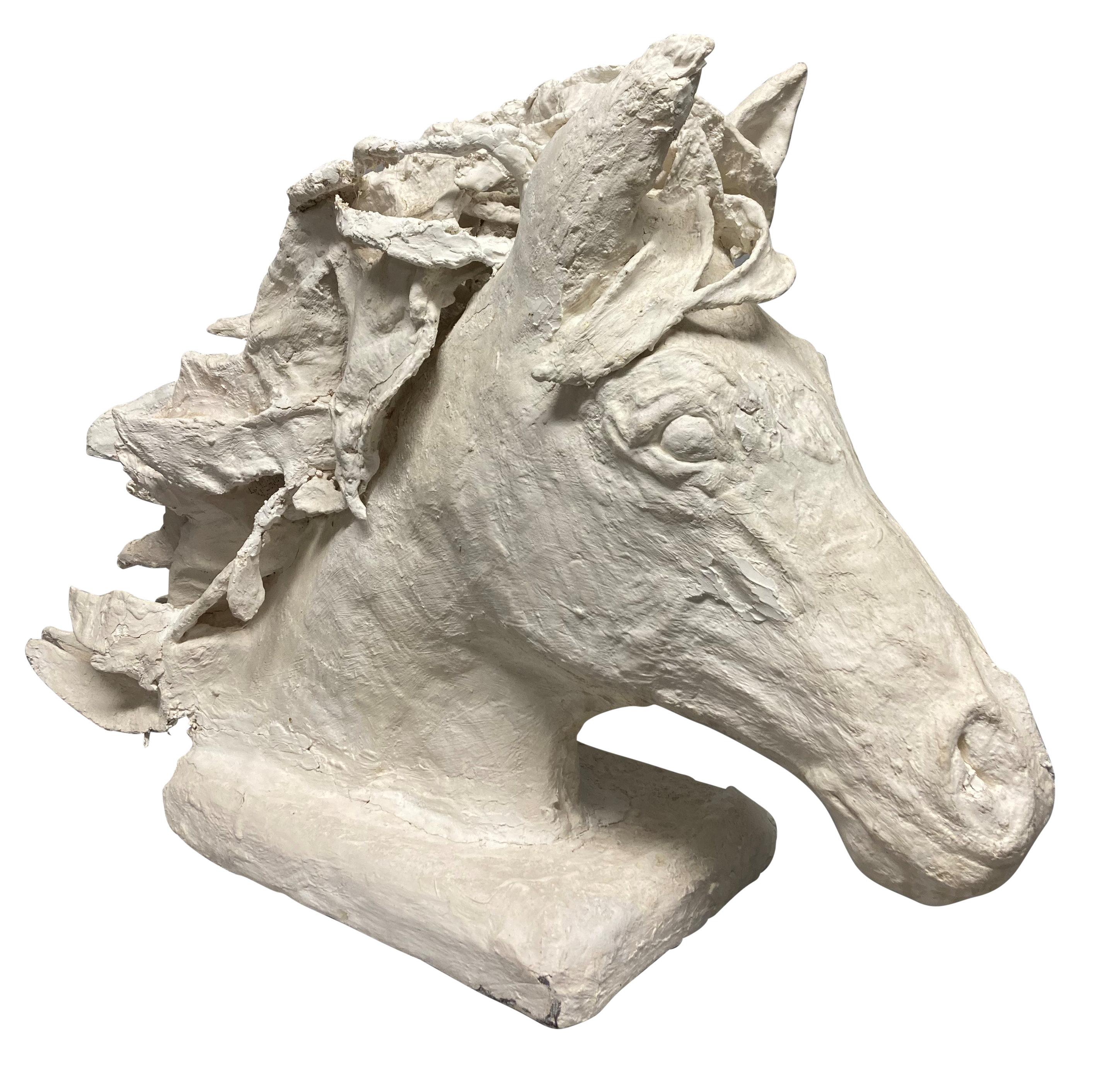 Inglese Grande maquette in gesso di una testa di cavallo in vendita