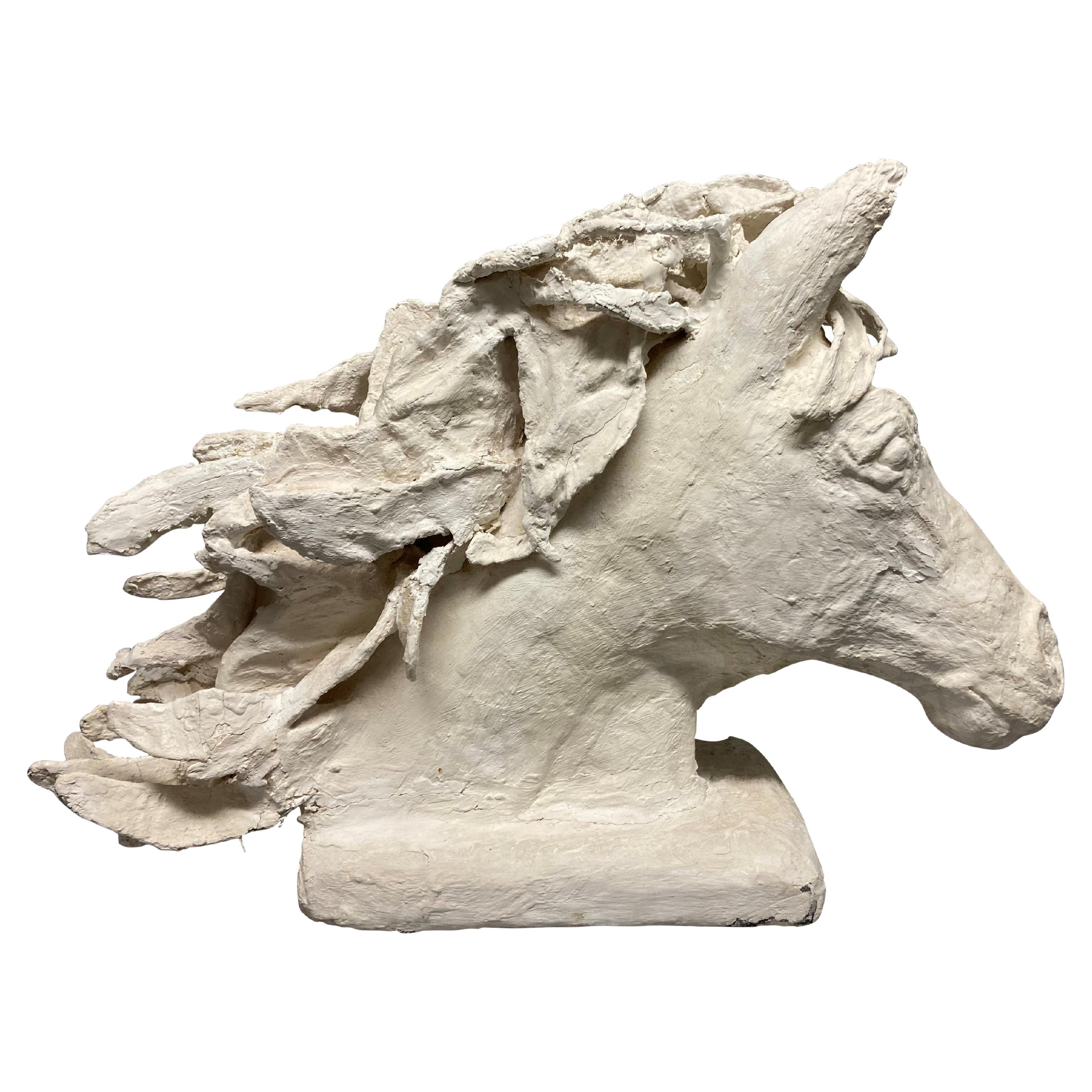 Large Plaster Maquette Of A Horses Head