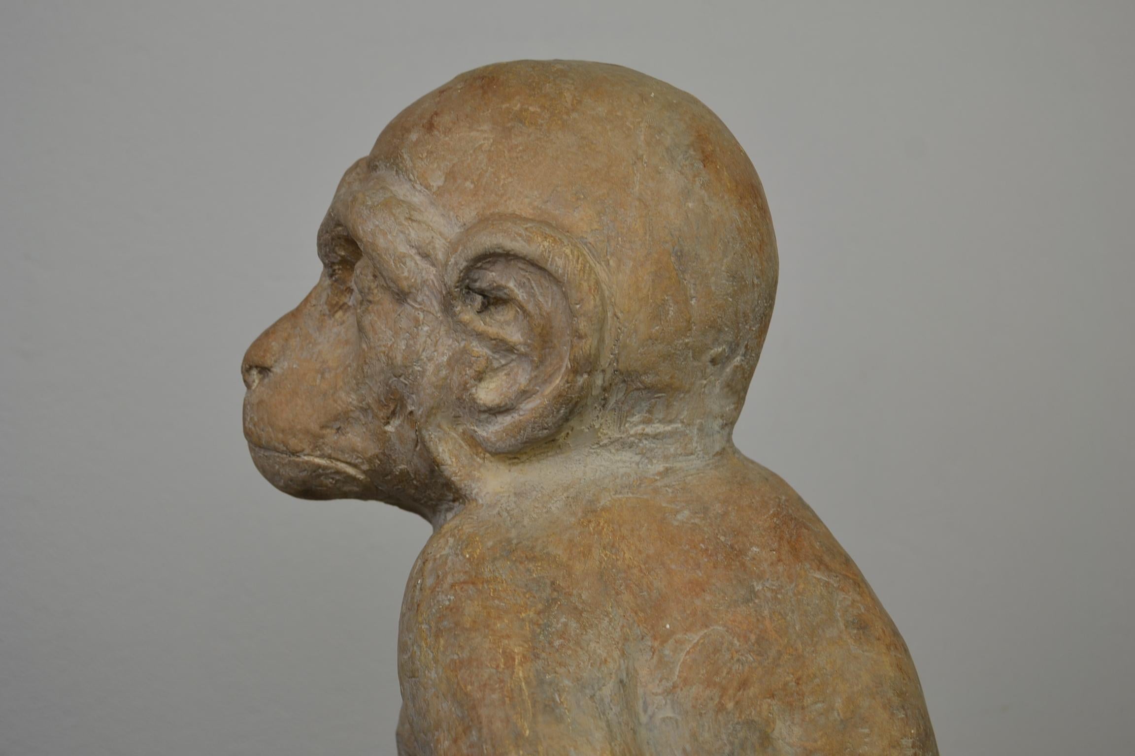 Large Plaster Monkey Sculpture Organic Style  7