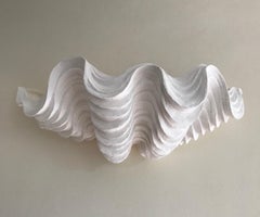 Large Plaster Scallop Wall Sconce