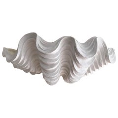 Large Plaster Scallop Wall Sconce