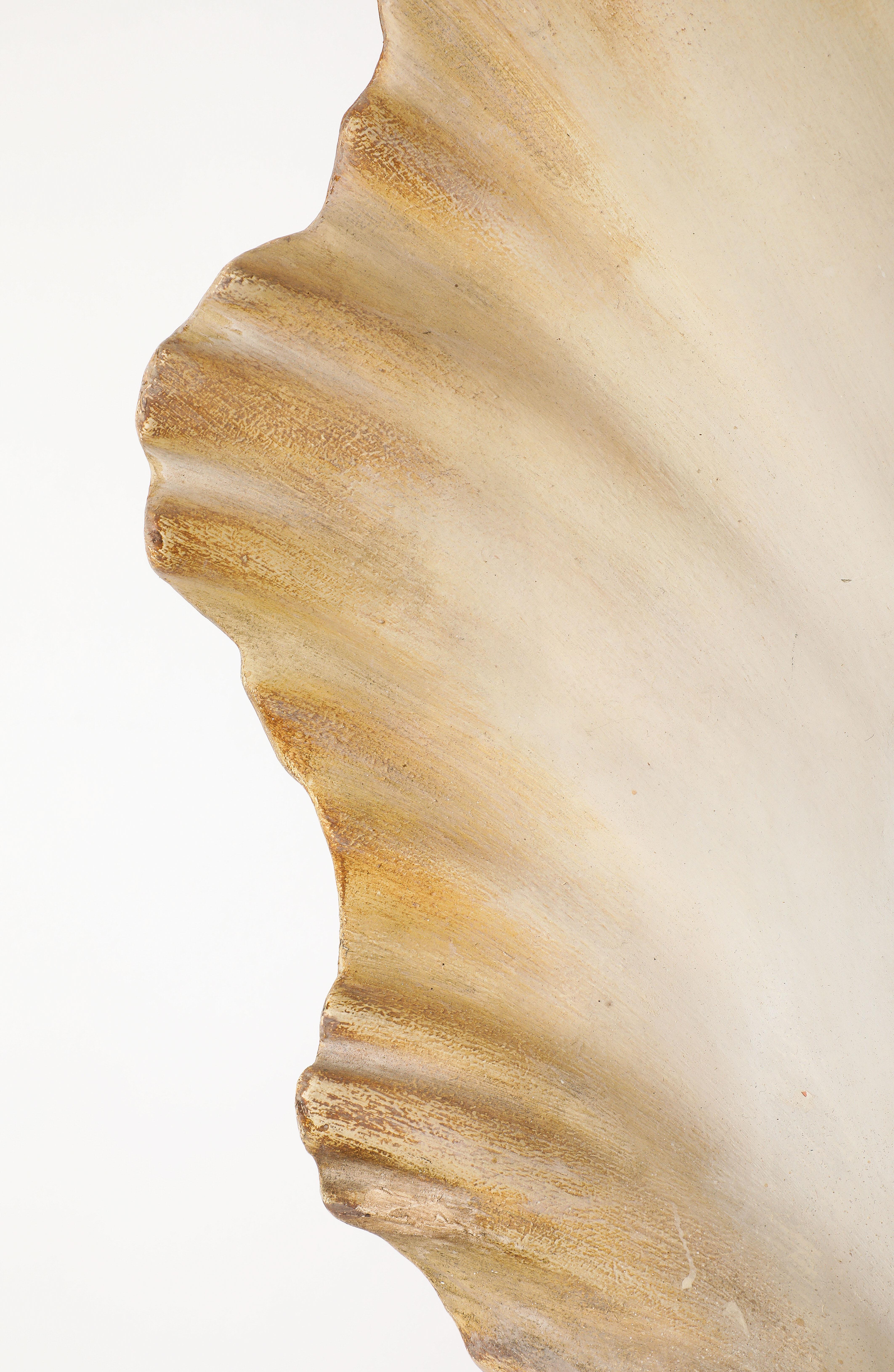 Large Plaster Shell Sconce, France 1950's For Sale 7