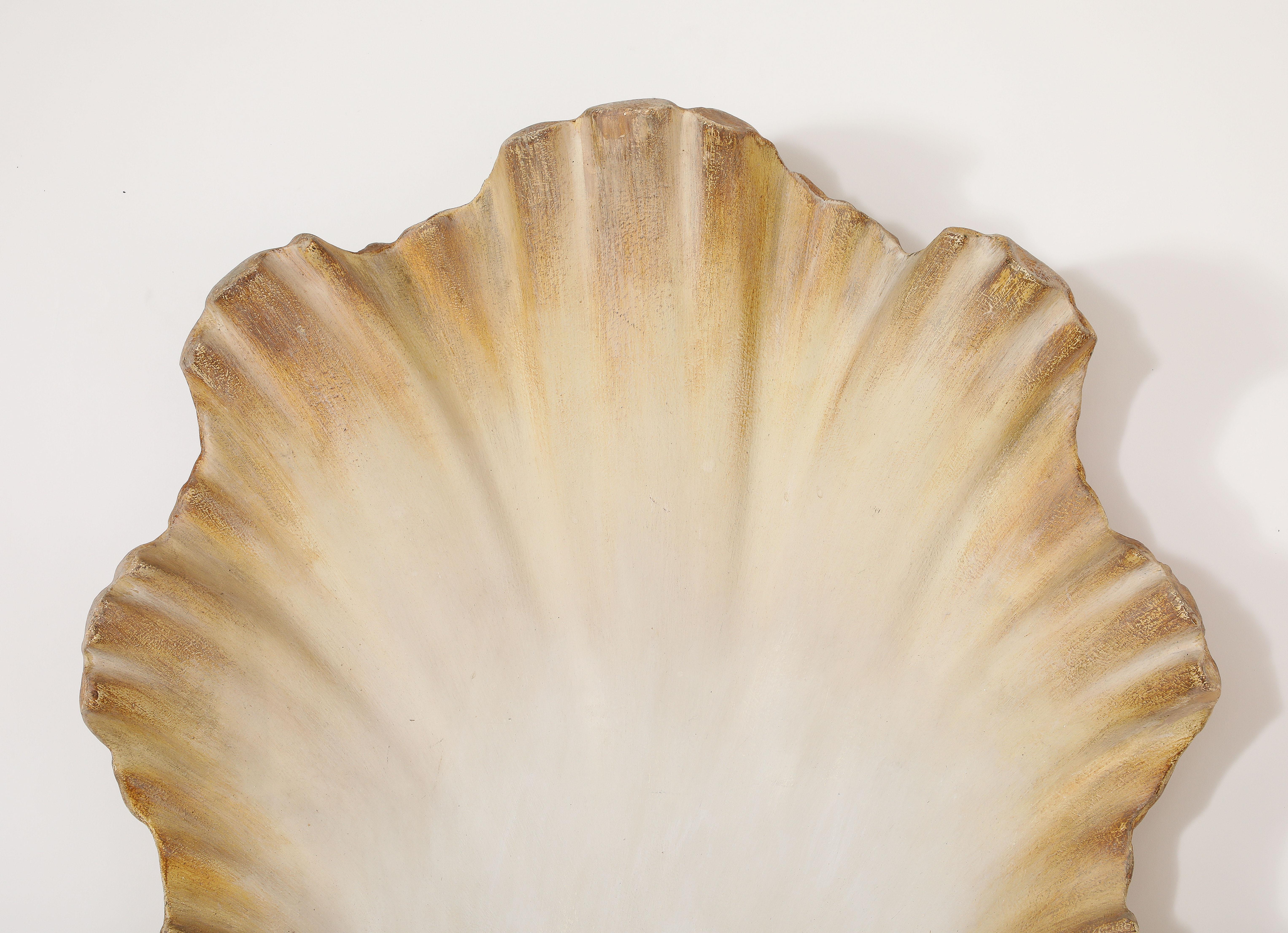Mid-Century Modern Large Plaster Shell Sconce, France 1950's For Sale