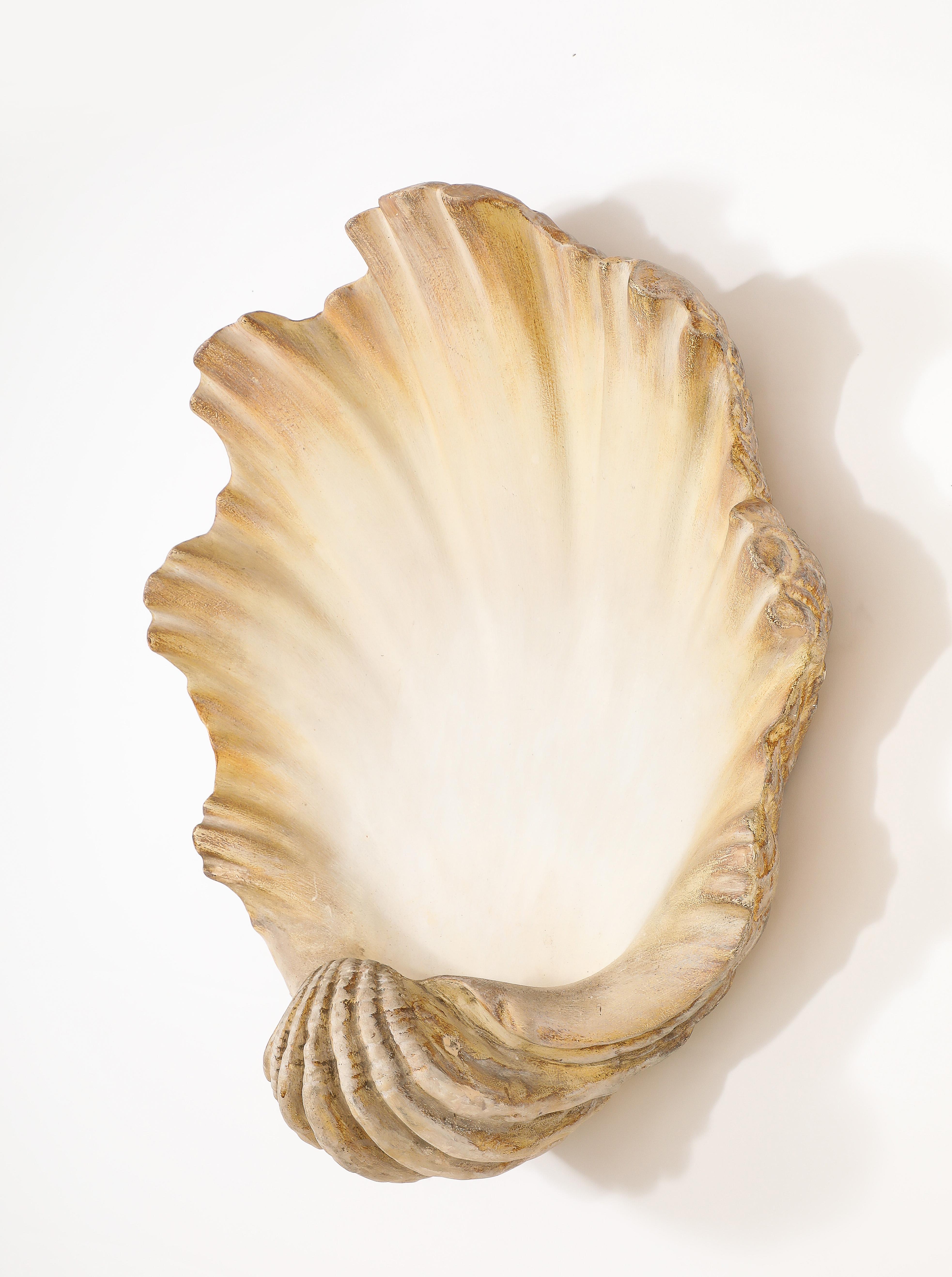 20th Century Large Plaster Shell Sconce, France 1950's For Sale