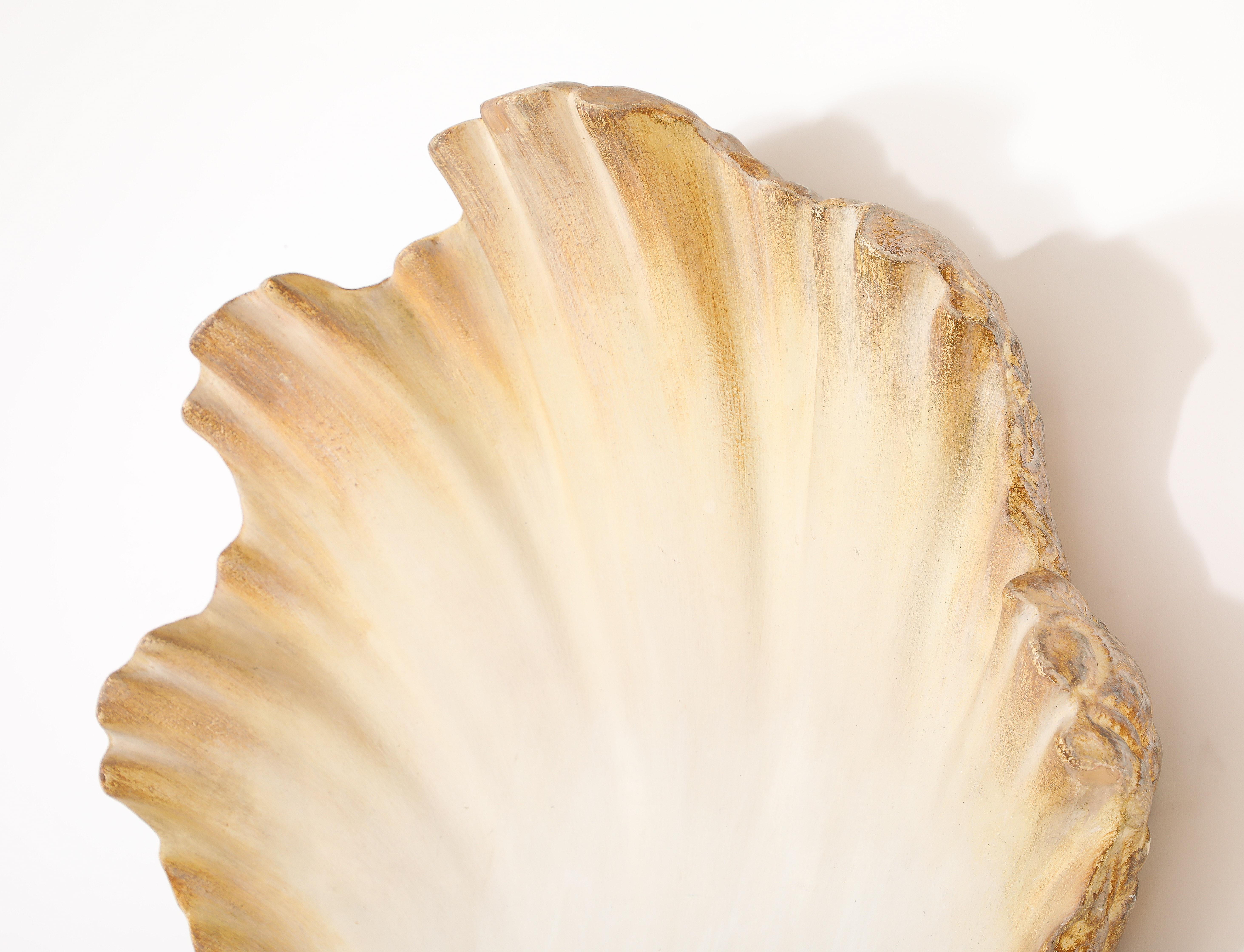 Large Plaster Shell Sconce, France 1950's For Sale 2
