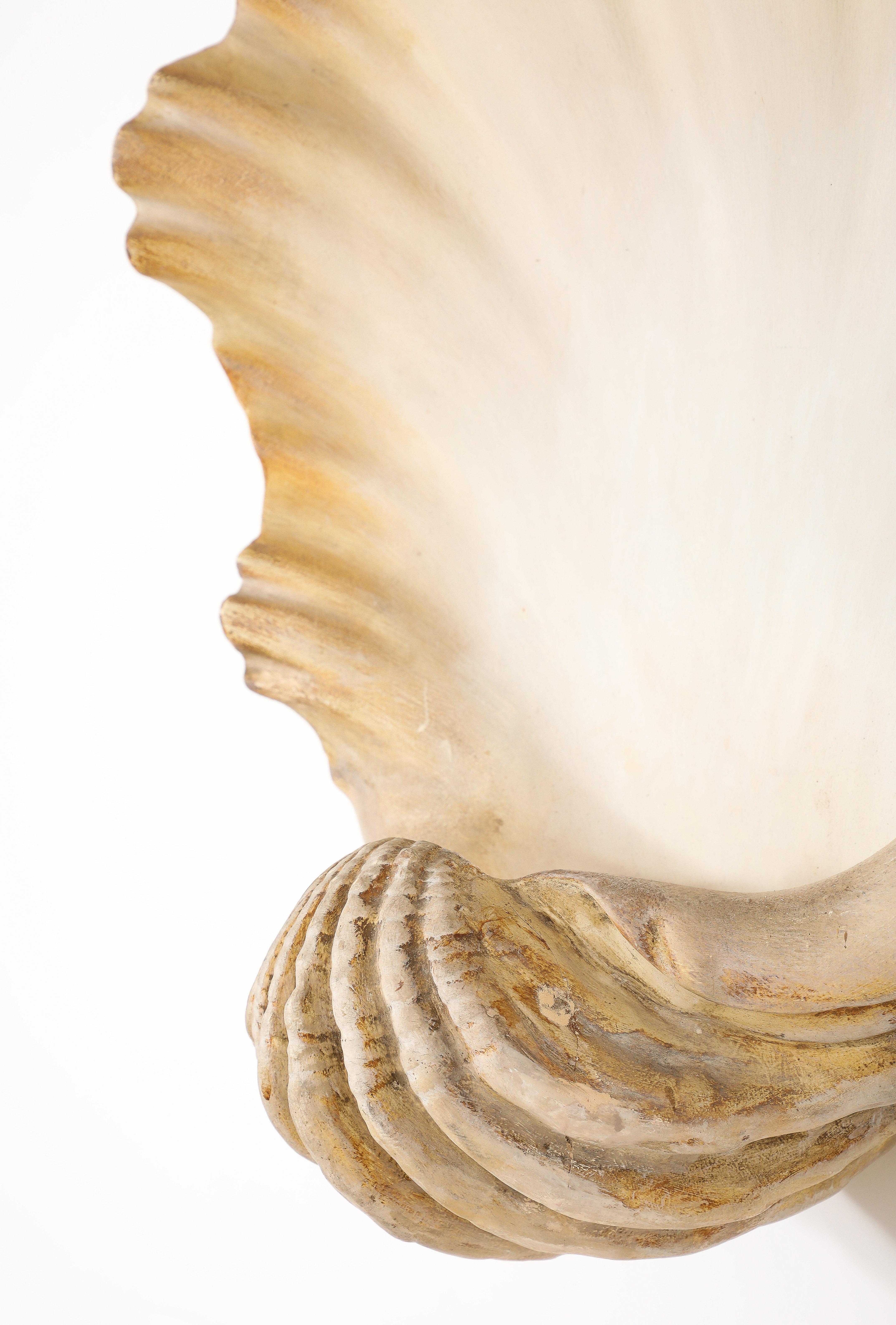 Large Plaster Shell Sconce, France 1950's For Sale 3