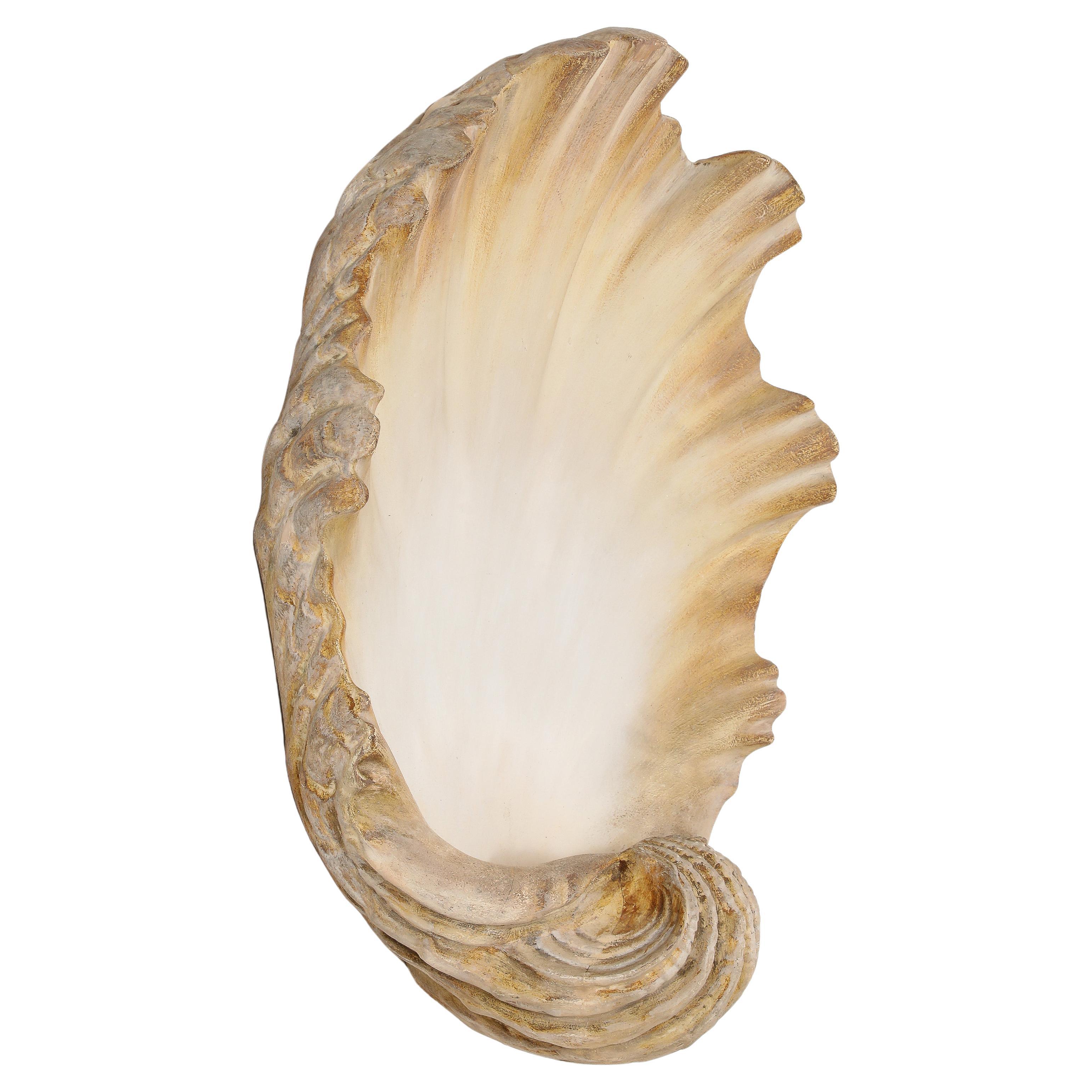 Large Plaster Shell Sconce, France 1950's