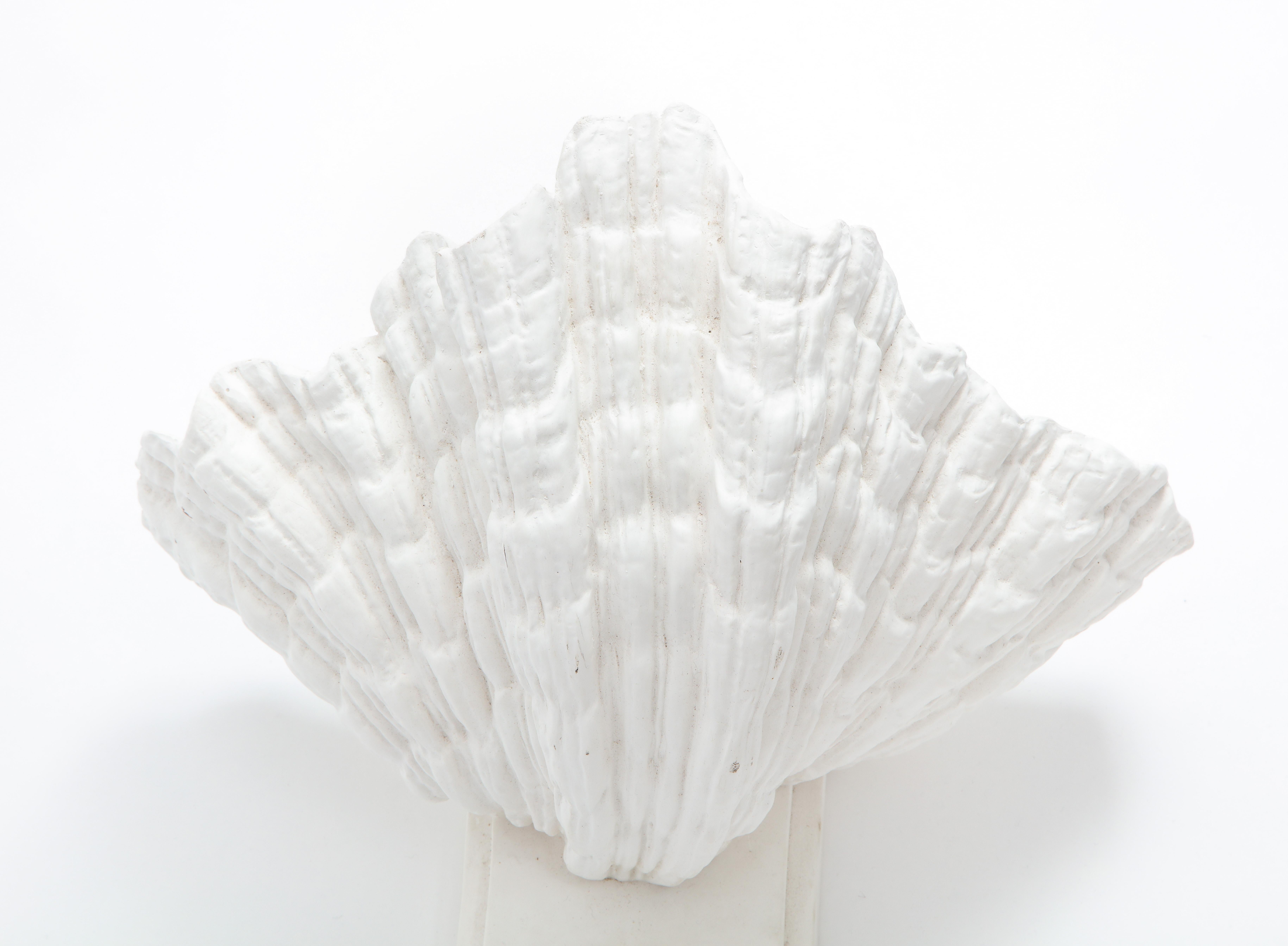 Large Plaster Shell Sconces after Serge Roche, France, 1940s 2