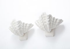 Large Plaster Shell Sconces after Serge Roche, France, 1940s