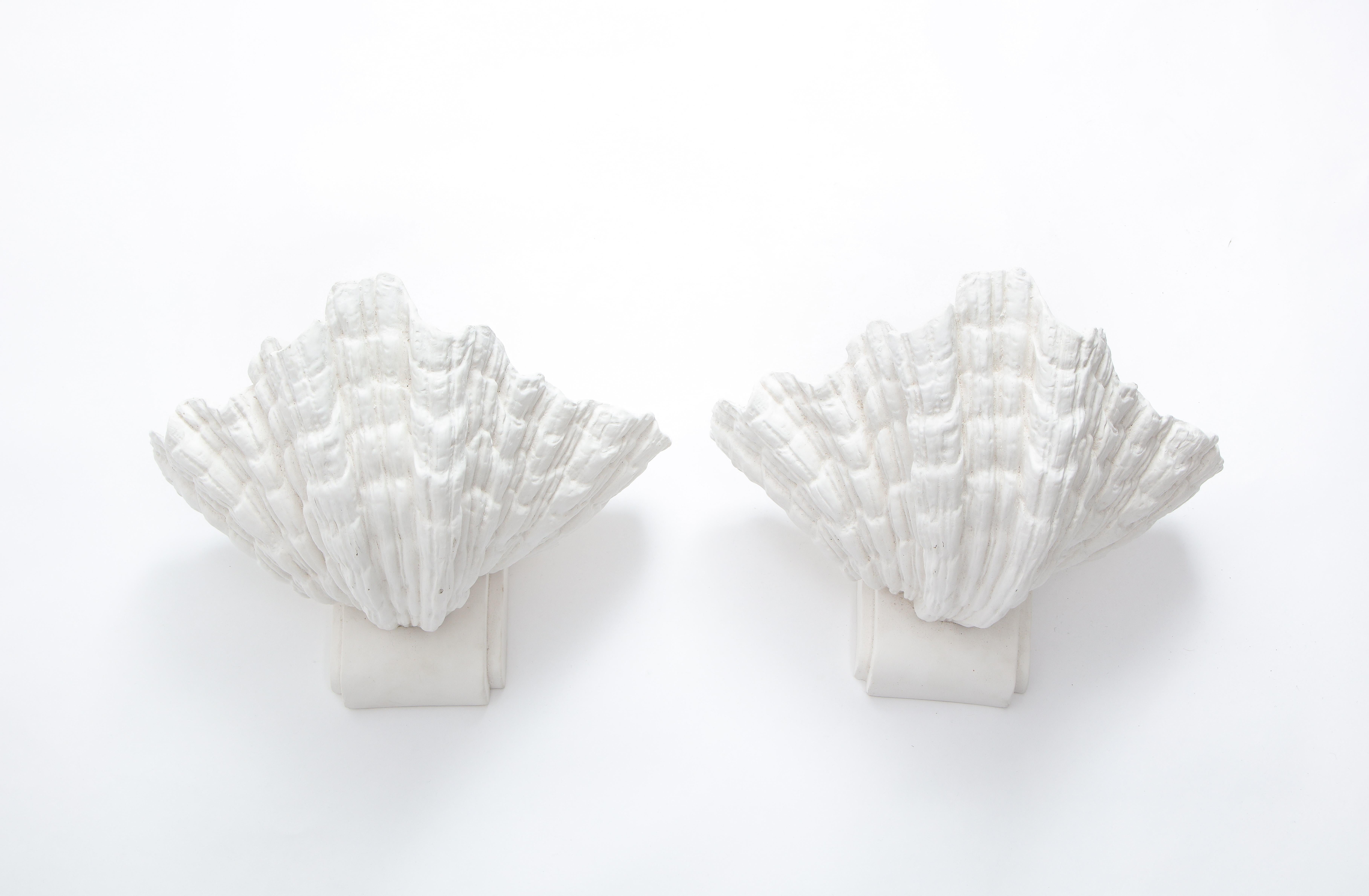Mid-Century Modern Large Plaster Shell Sconces after Serge Roche, France, 1940s