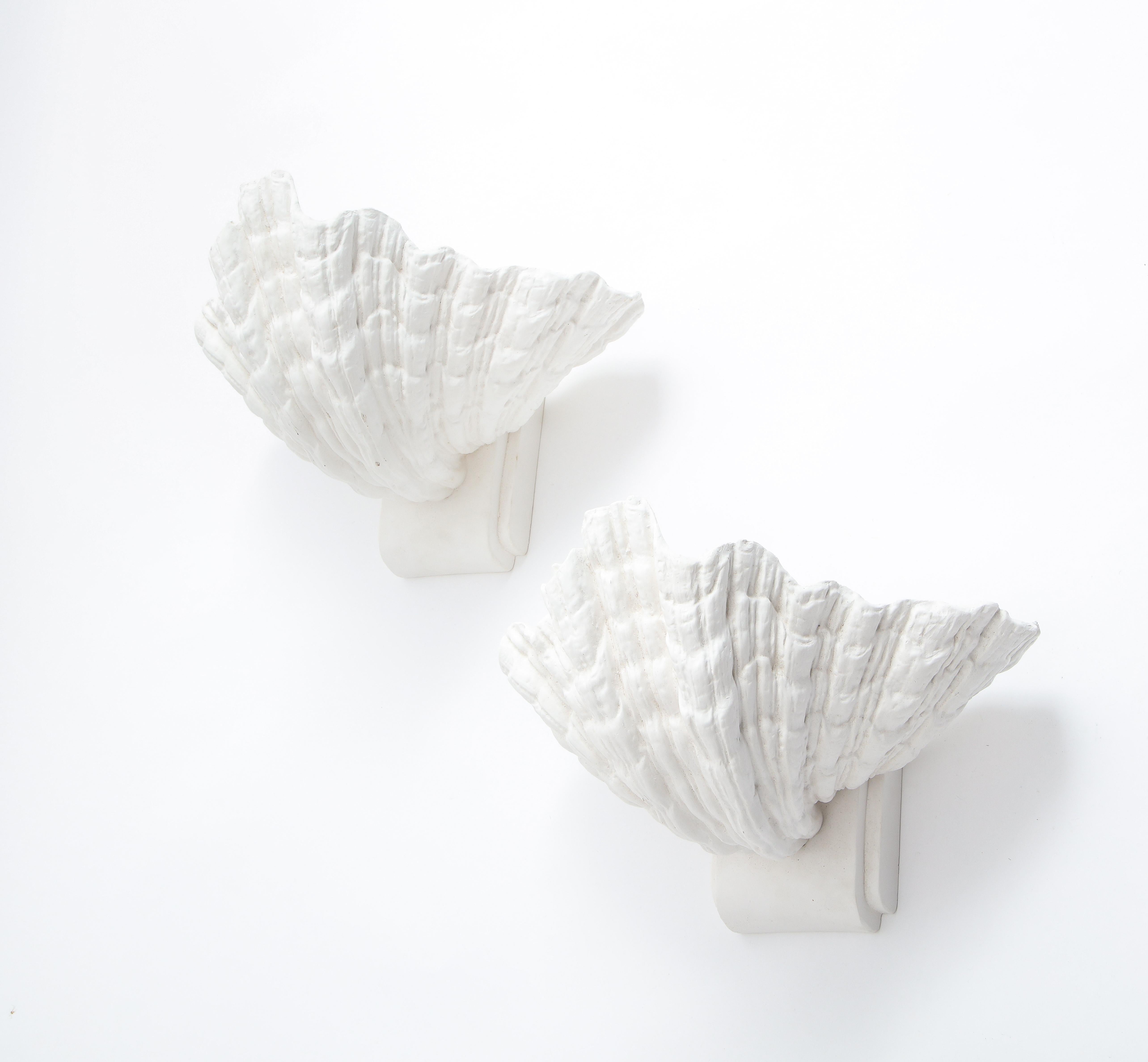 20th Century Large Plaster Shell Sconces after Serge Roche, France, 1940s